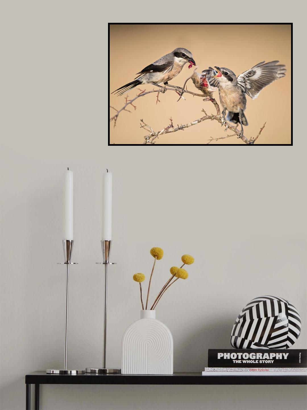 Out of the nest Poster och Canvastavla