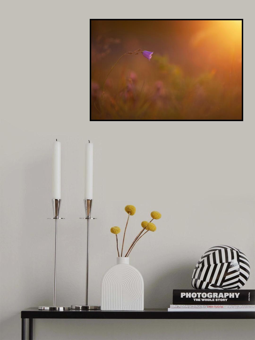 Campanule Poster och Canvastavla