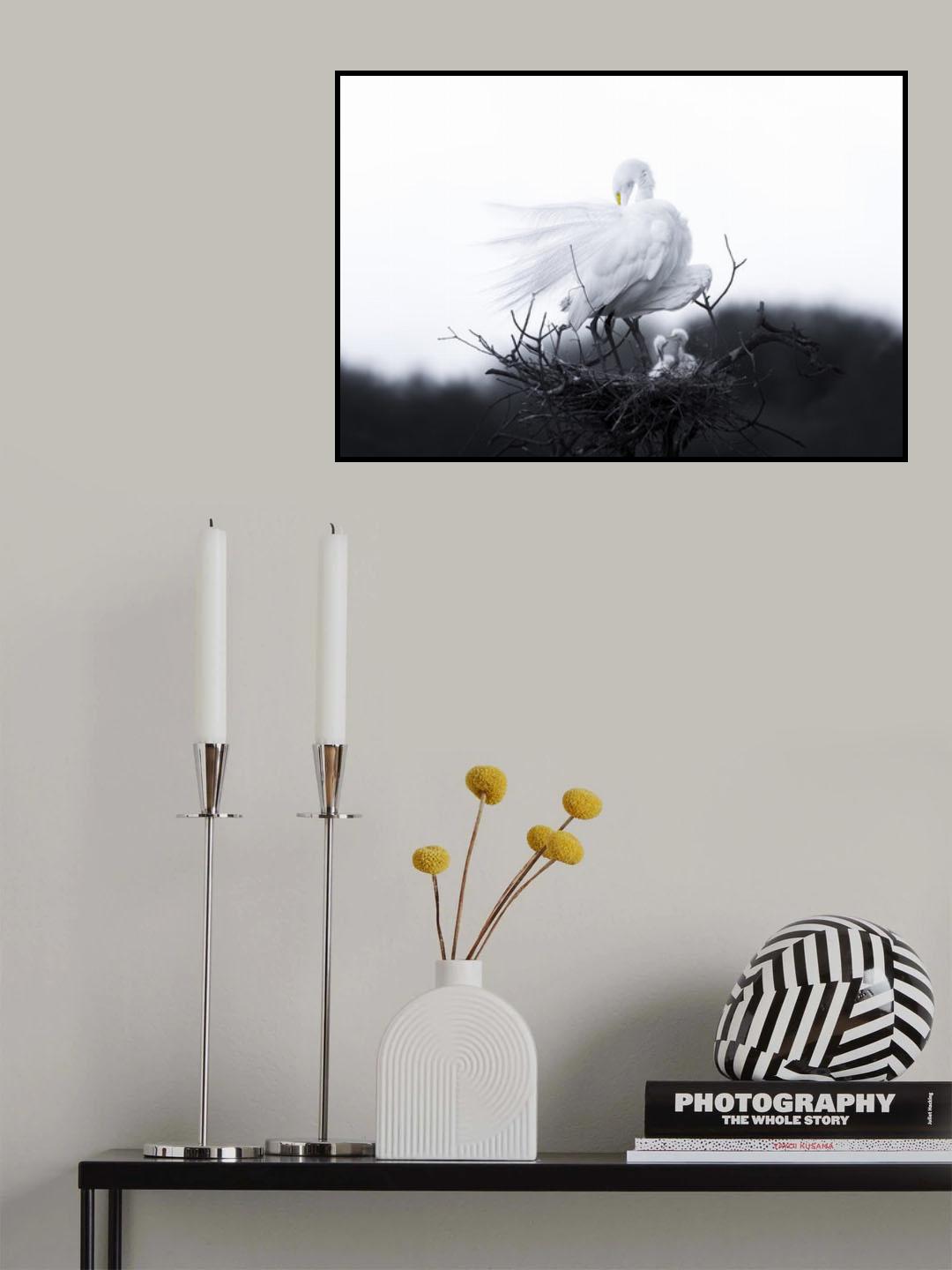 Mother and baby birds Poster och Canvastavla