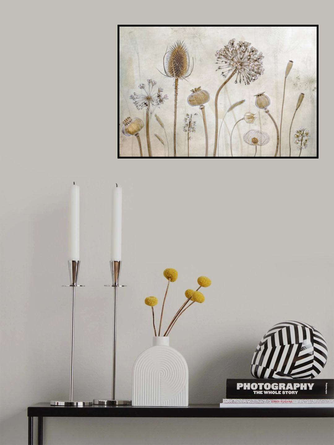 Growing old Poster och Canvastavla