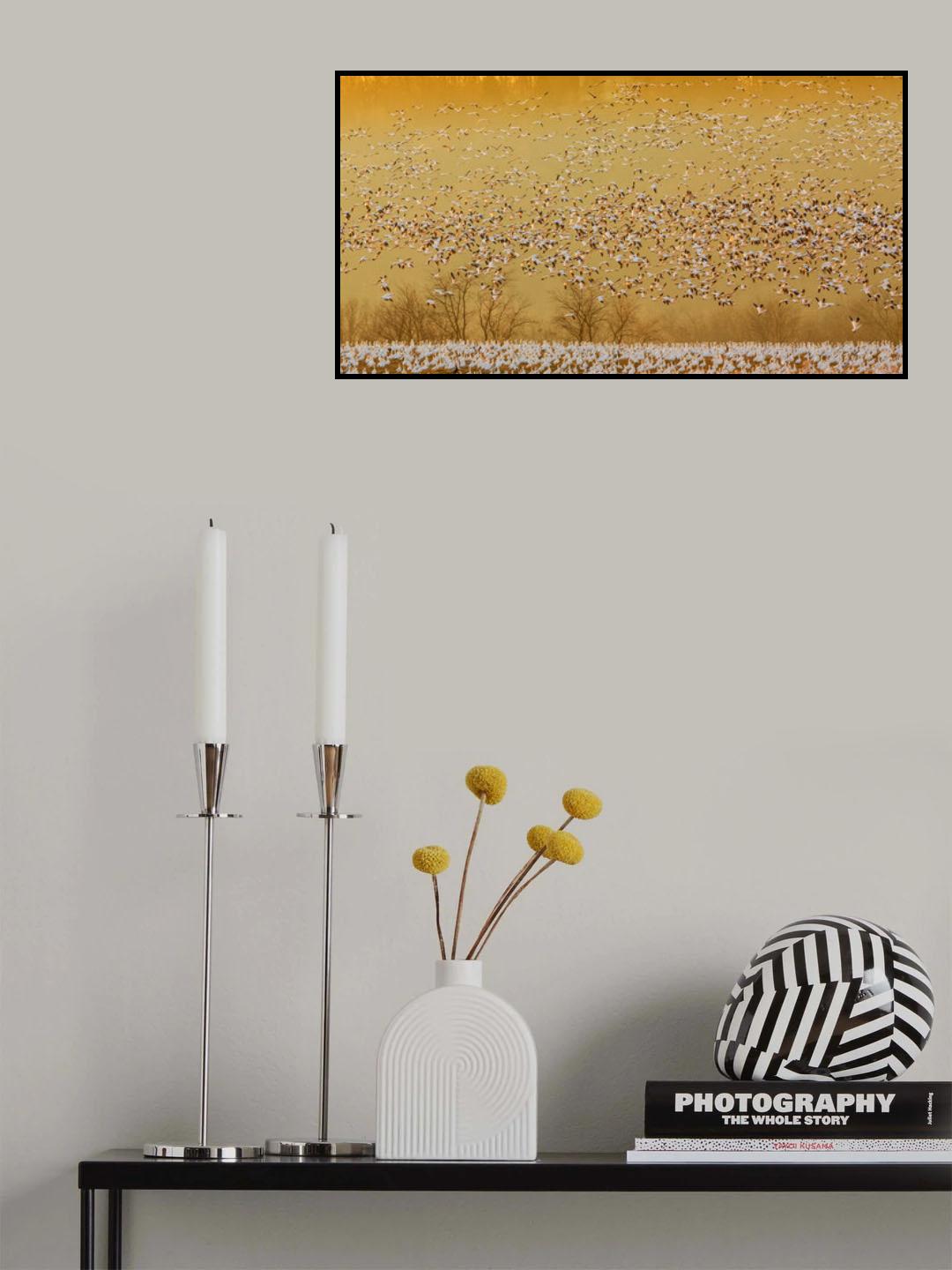 In the Magic Golden Would Poster och Canvastavla