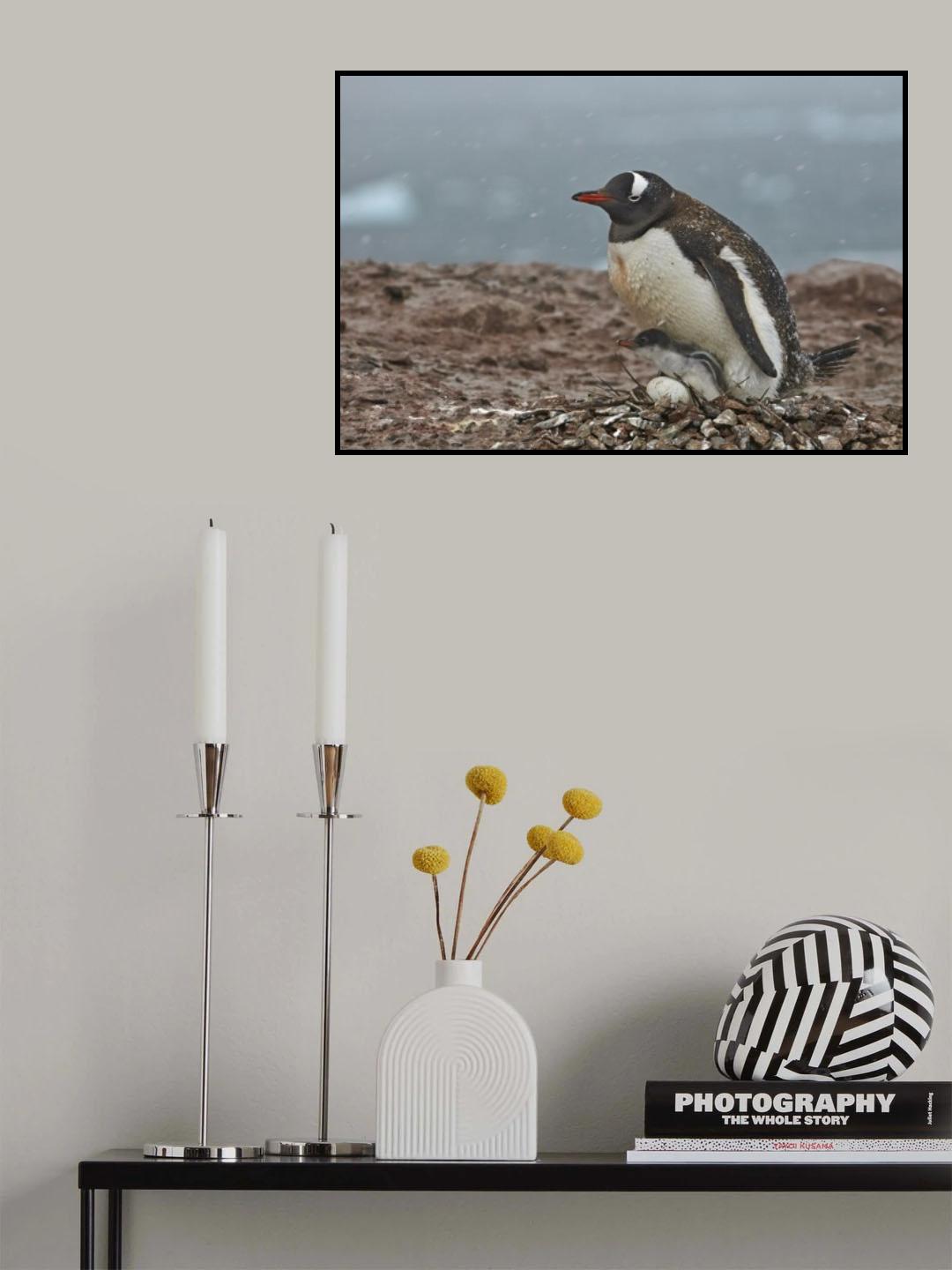 Evolution Poster och Canvastavla