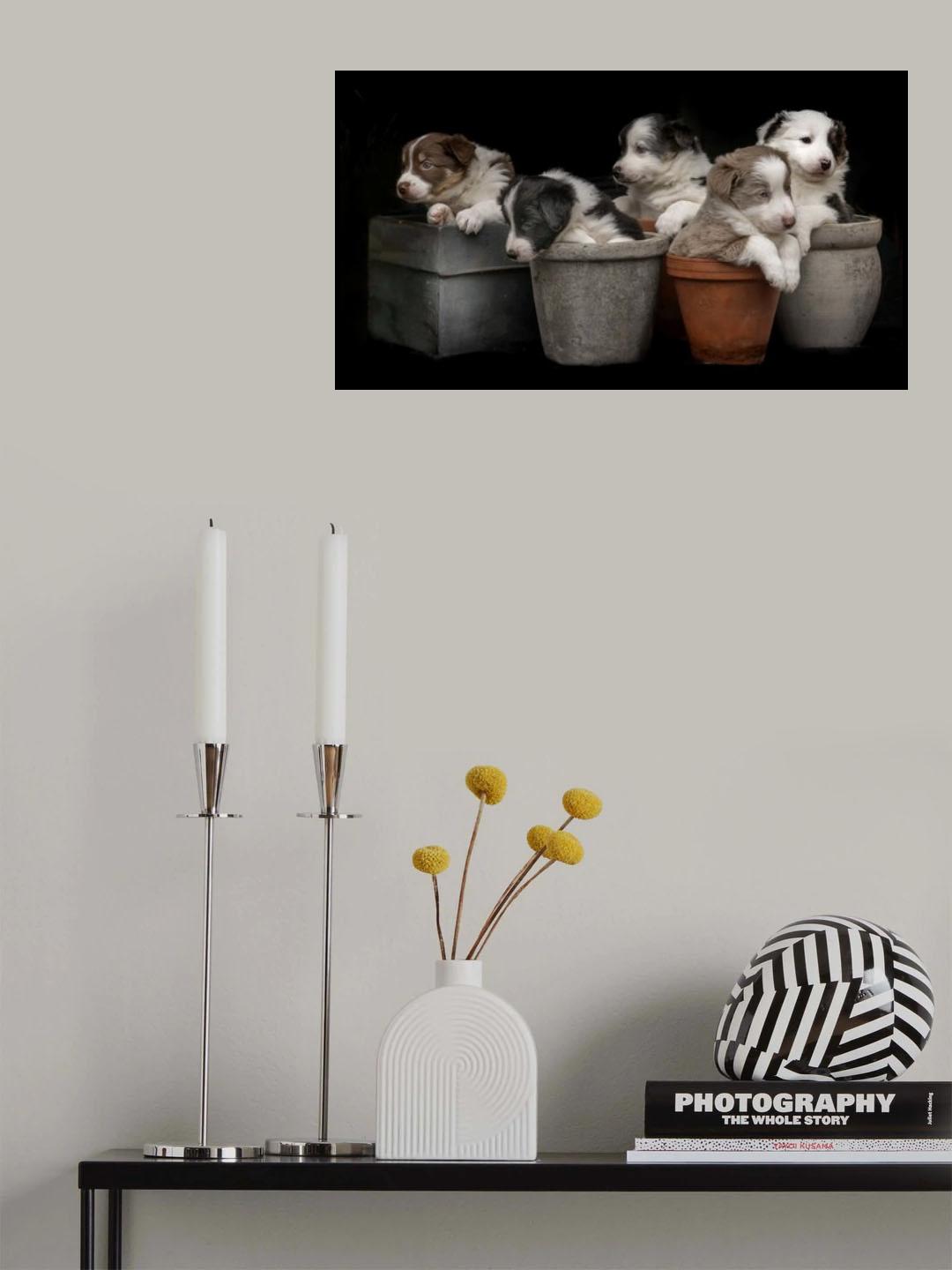 Dog plants Poster och Canvastavla