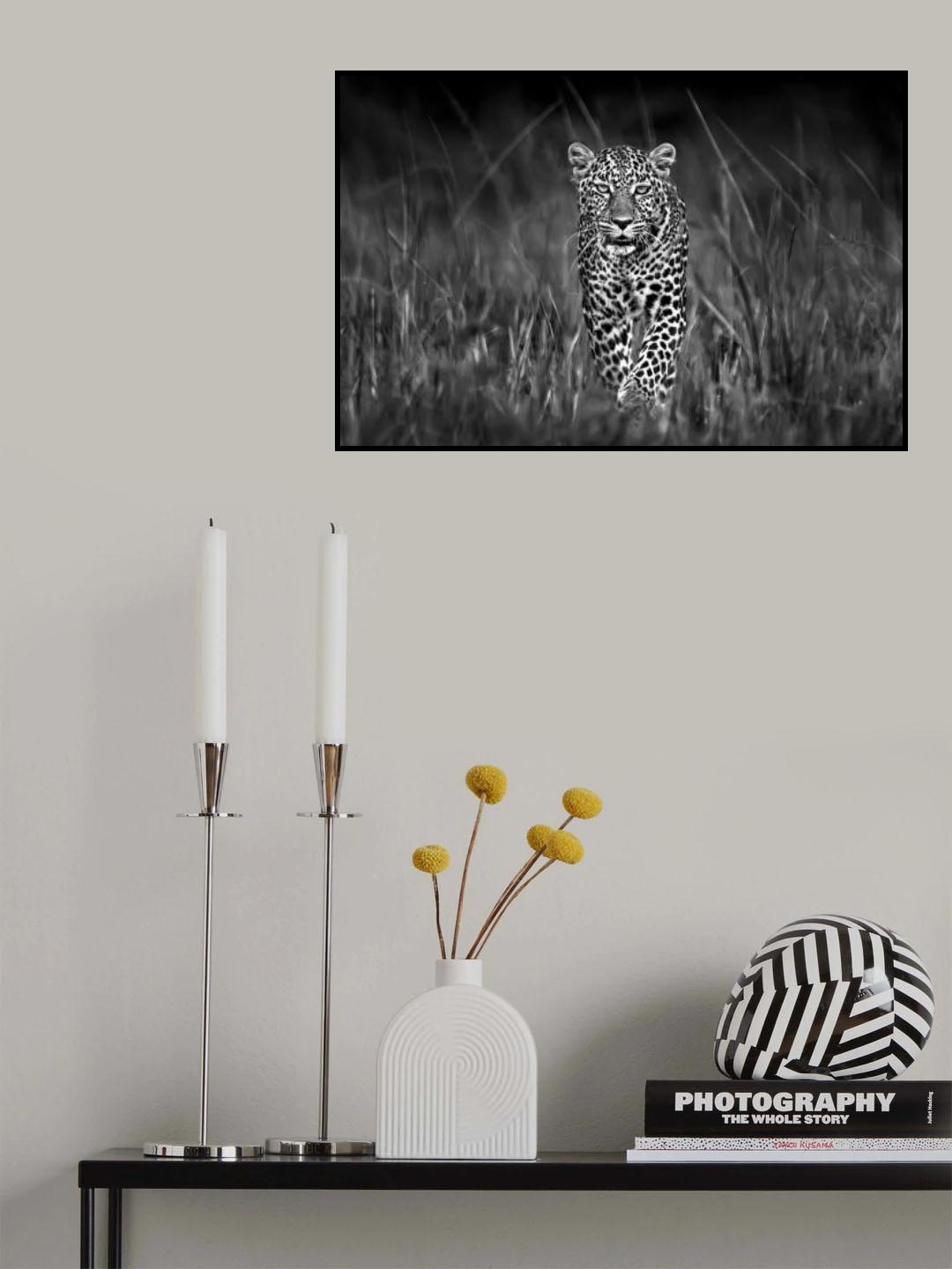 Patrolling leopard Poster och Canvastavla