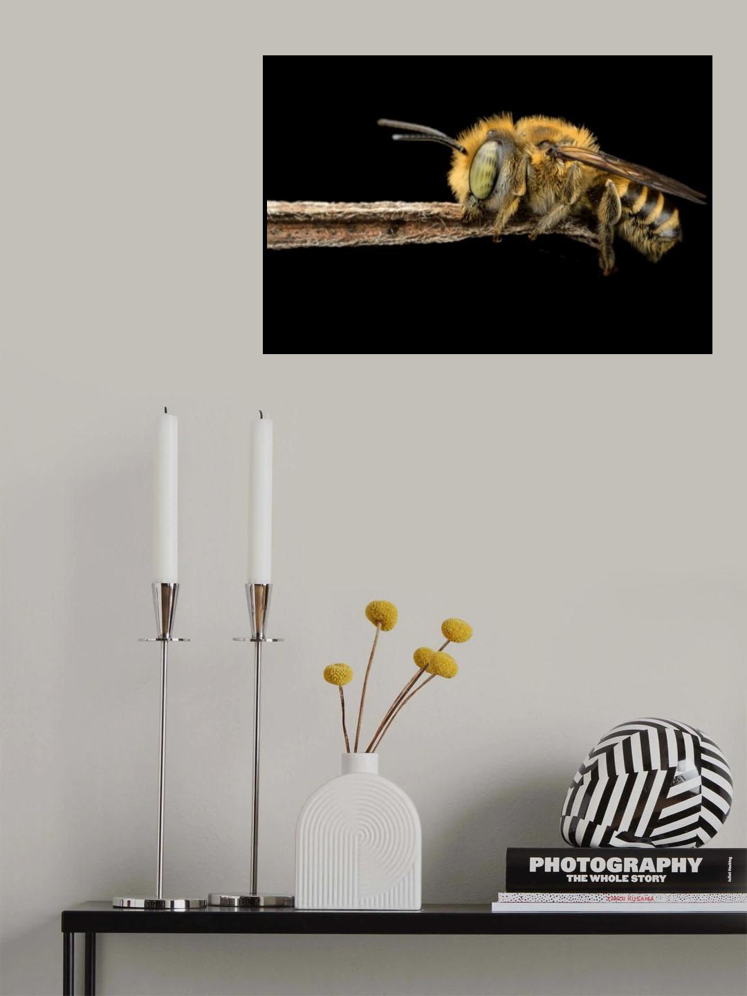 asleep Poster och Canvastavla