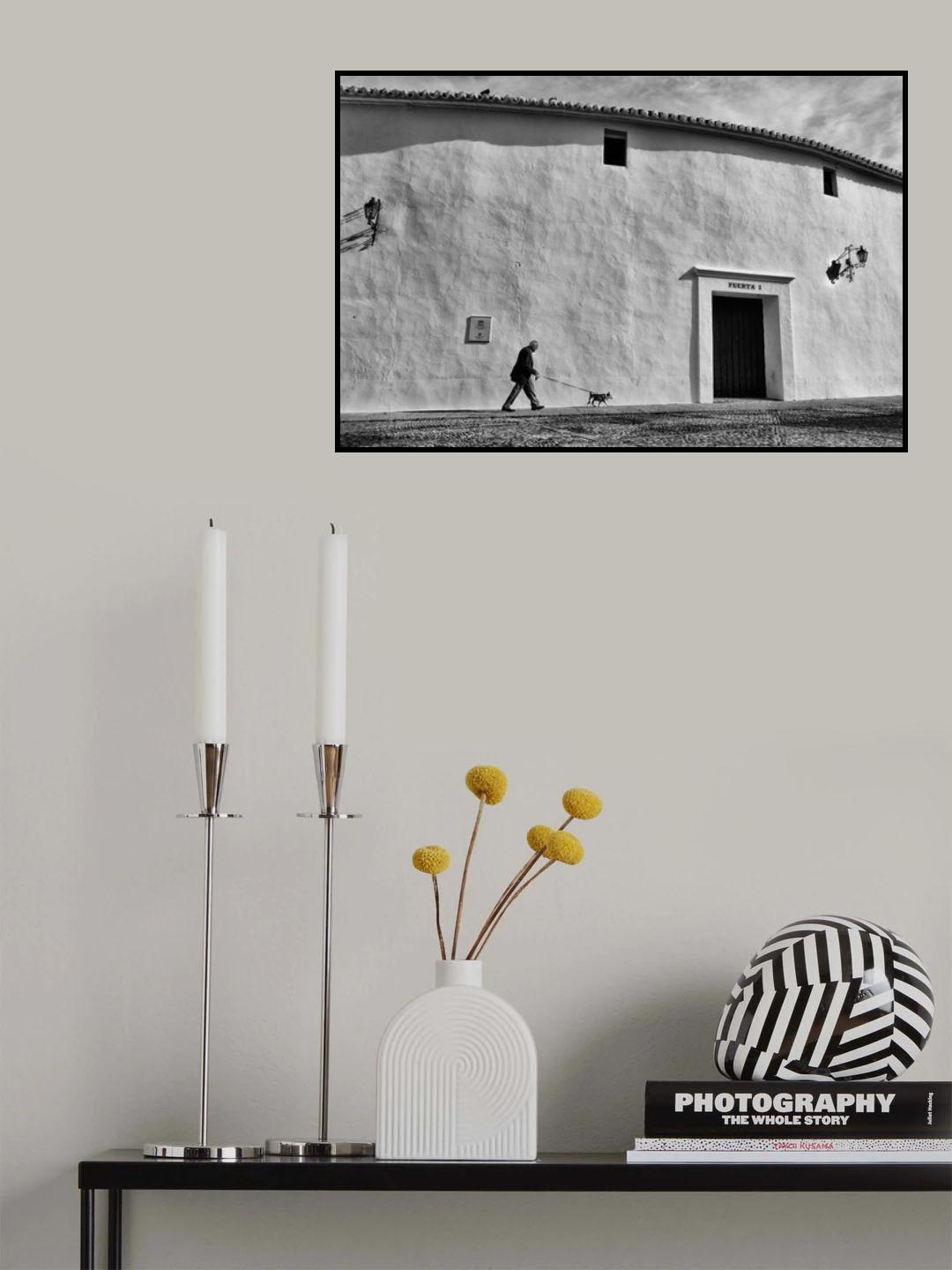 s/t Poster och Canvastavla