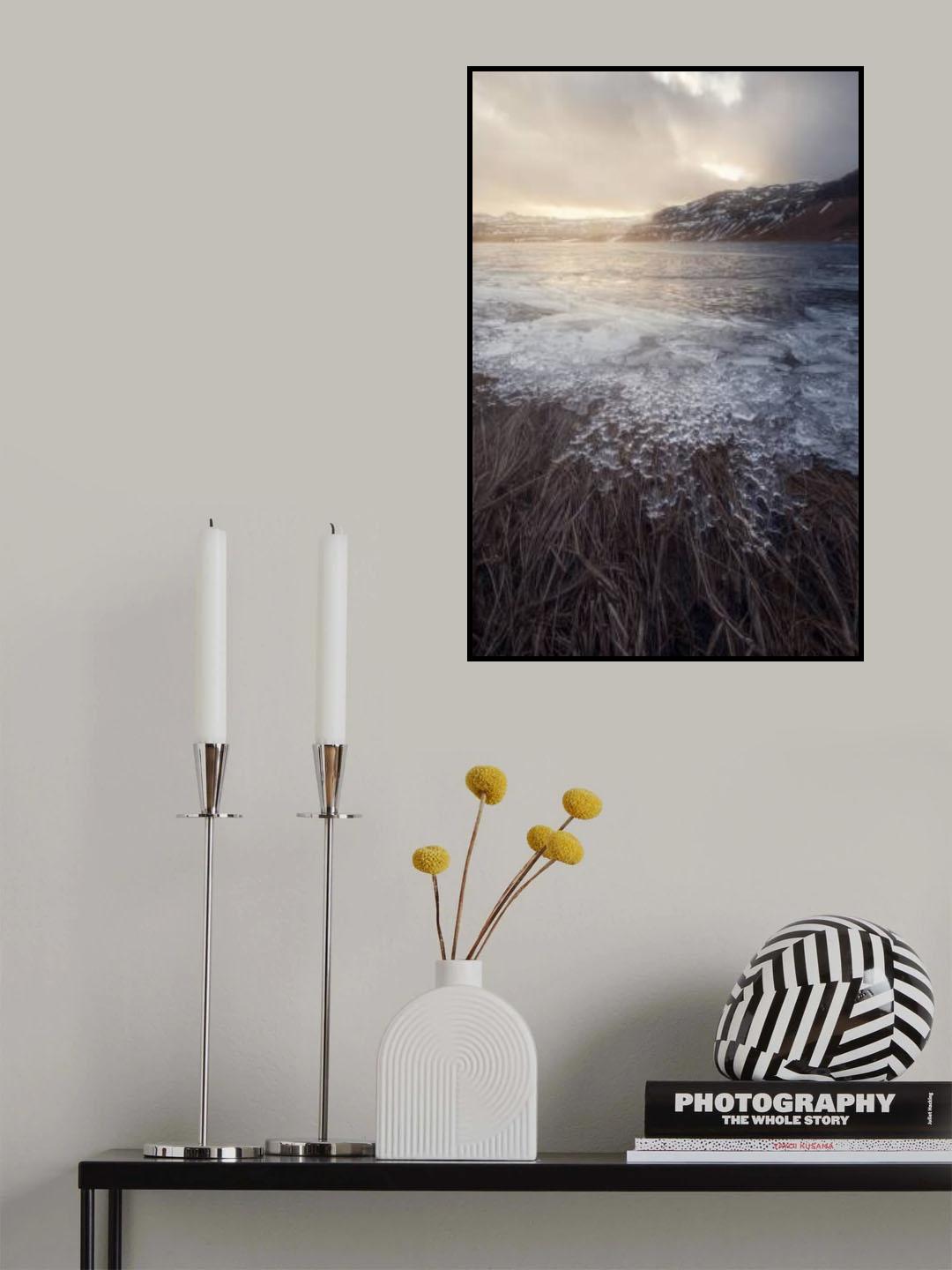 Ice Hair Poster och Canvastavla