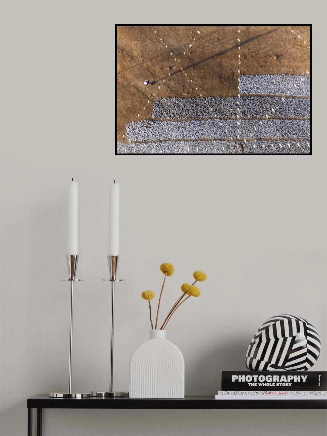 Drying Sardines Poster och Canvastavla