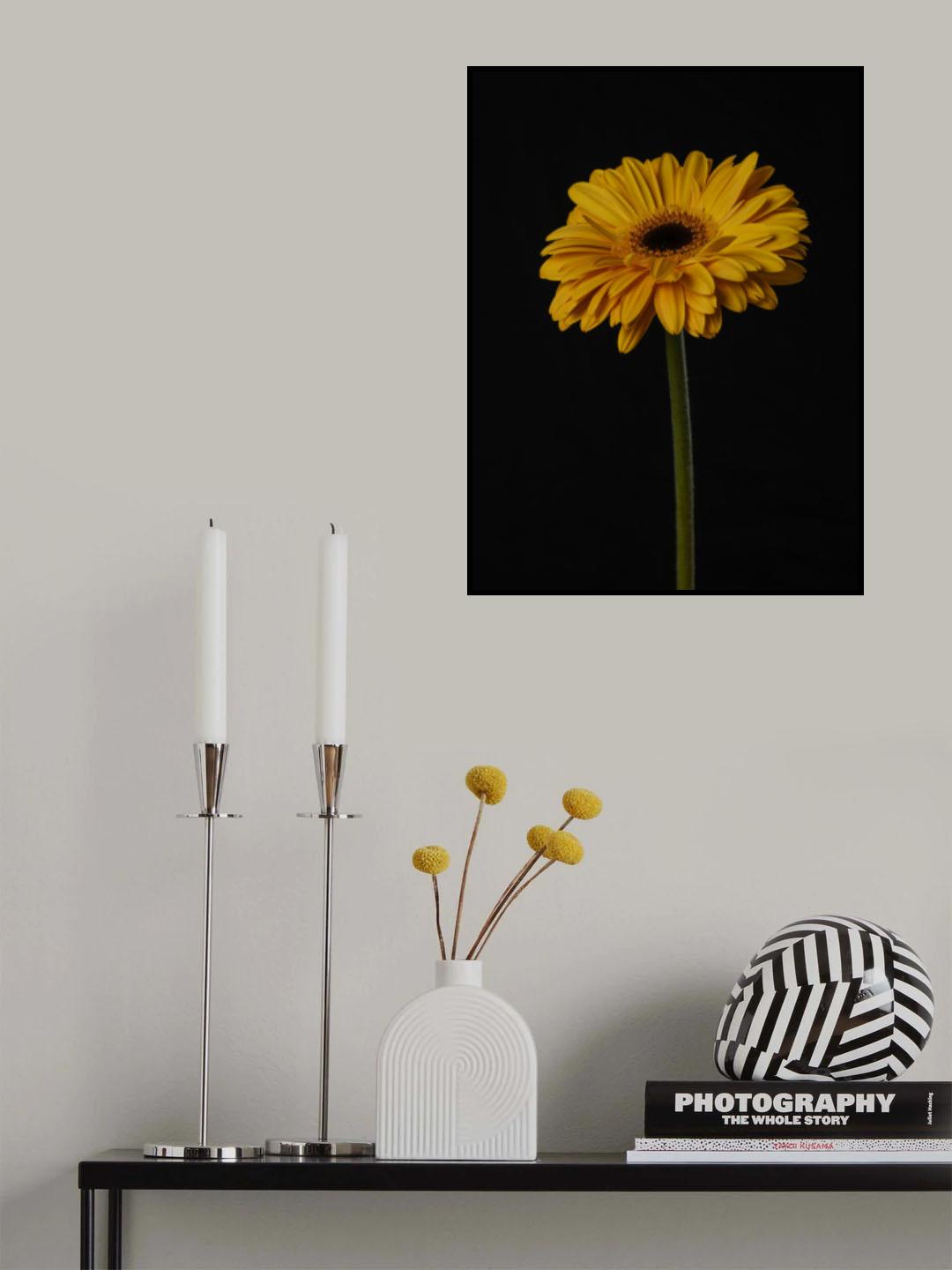 Beautiful flower Poster och Canvastavla