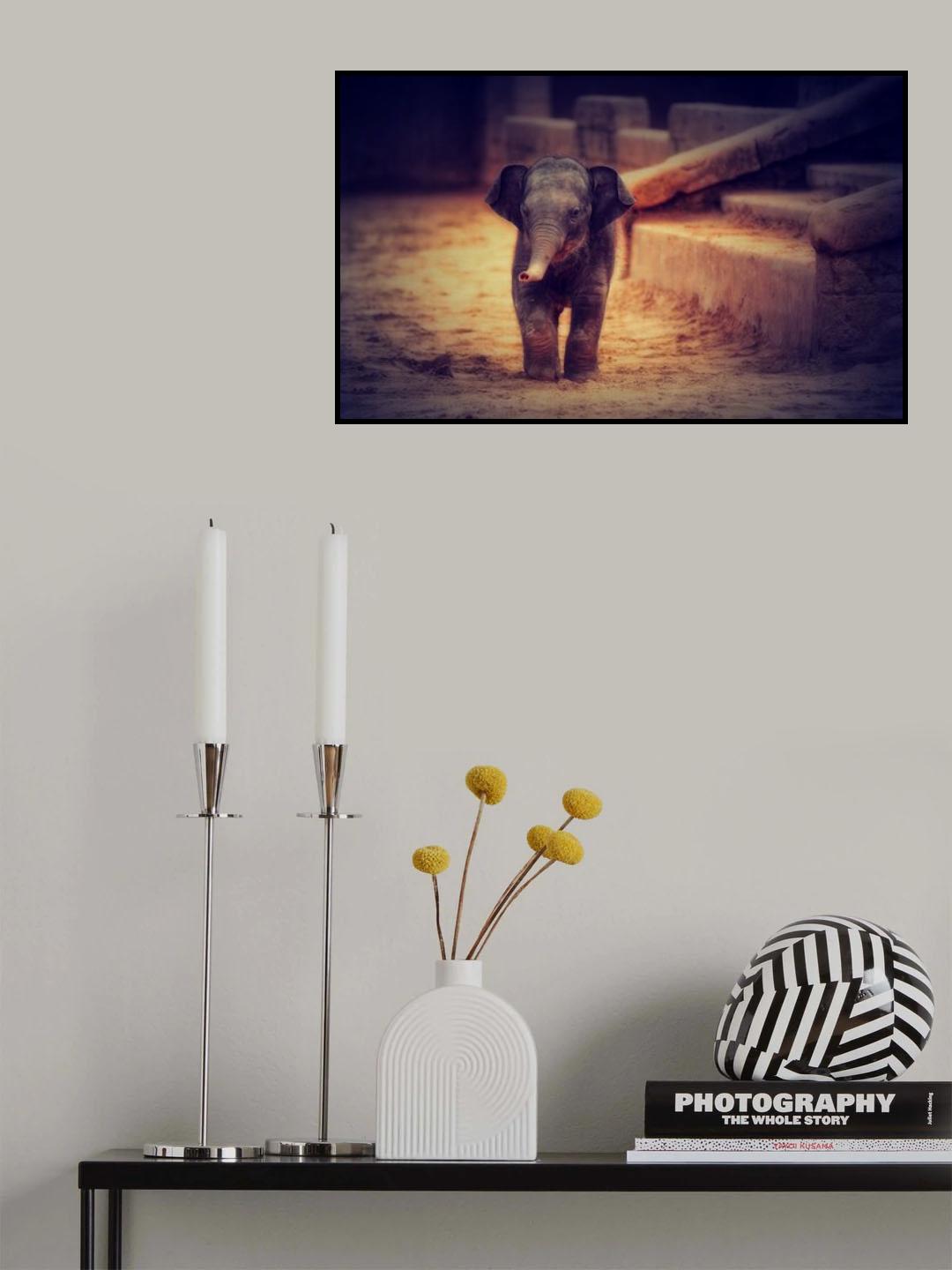SPOTLIGHT .... Poster och Canvastavla