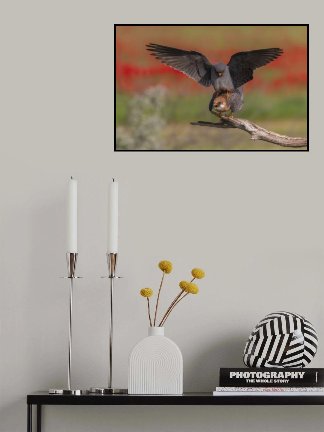 Two together Poster och Canvastavla