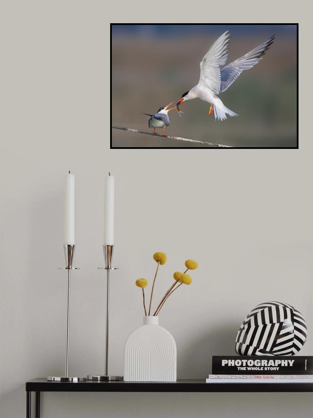 Feeding the chick Poster och Canvastavla