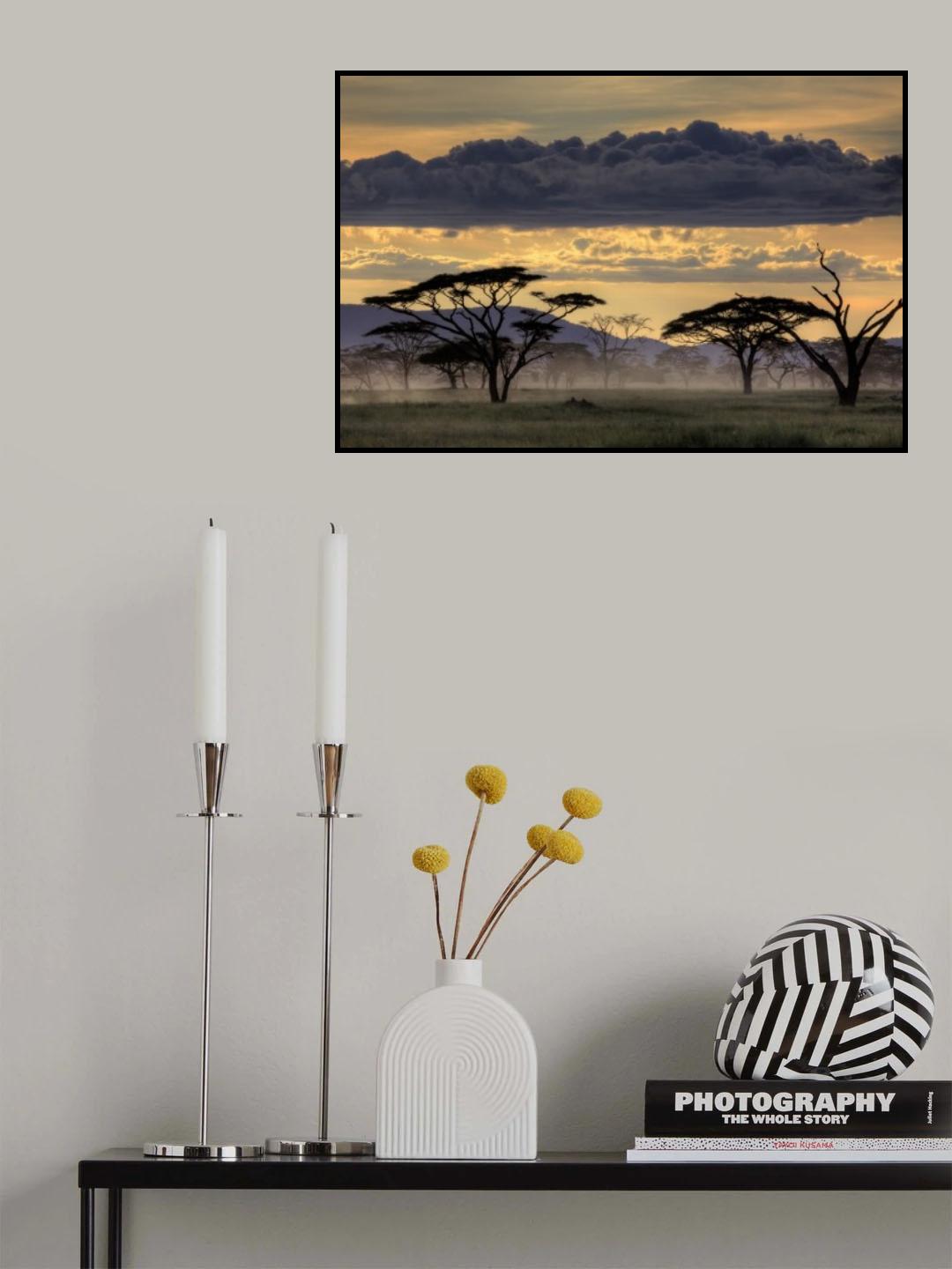 Good evening tanazania Poster och Canvastavla