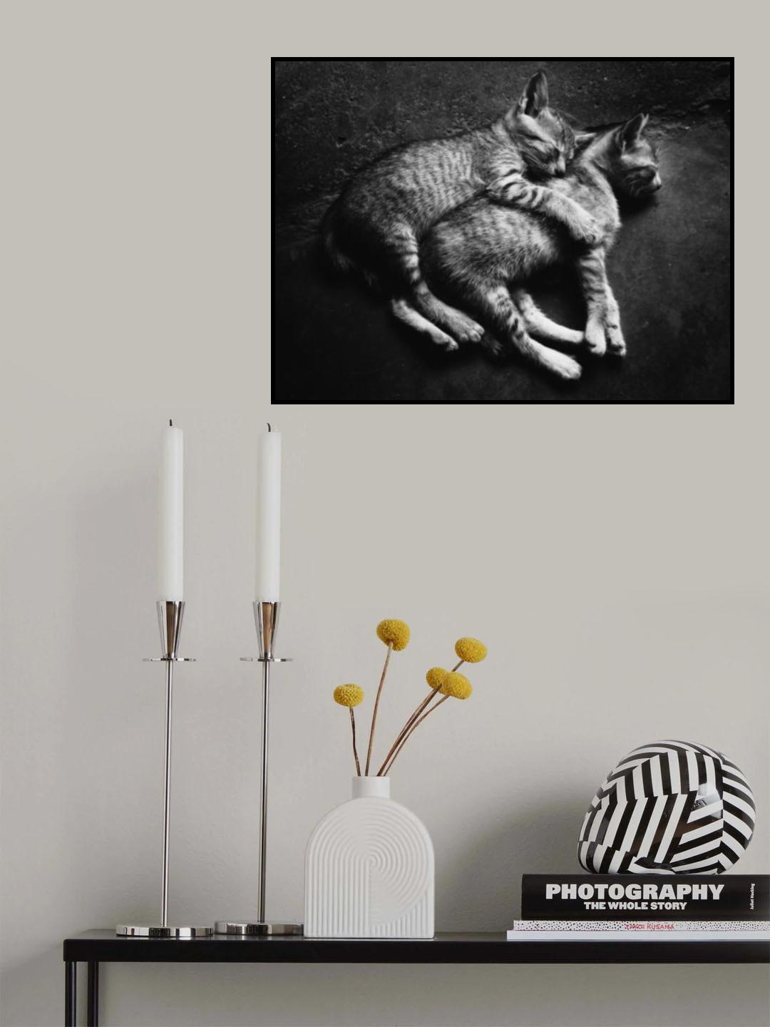 Soulmate Poster och Canvastavla