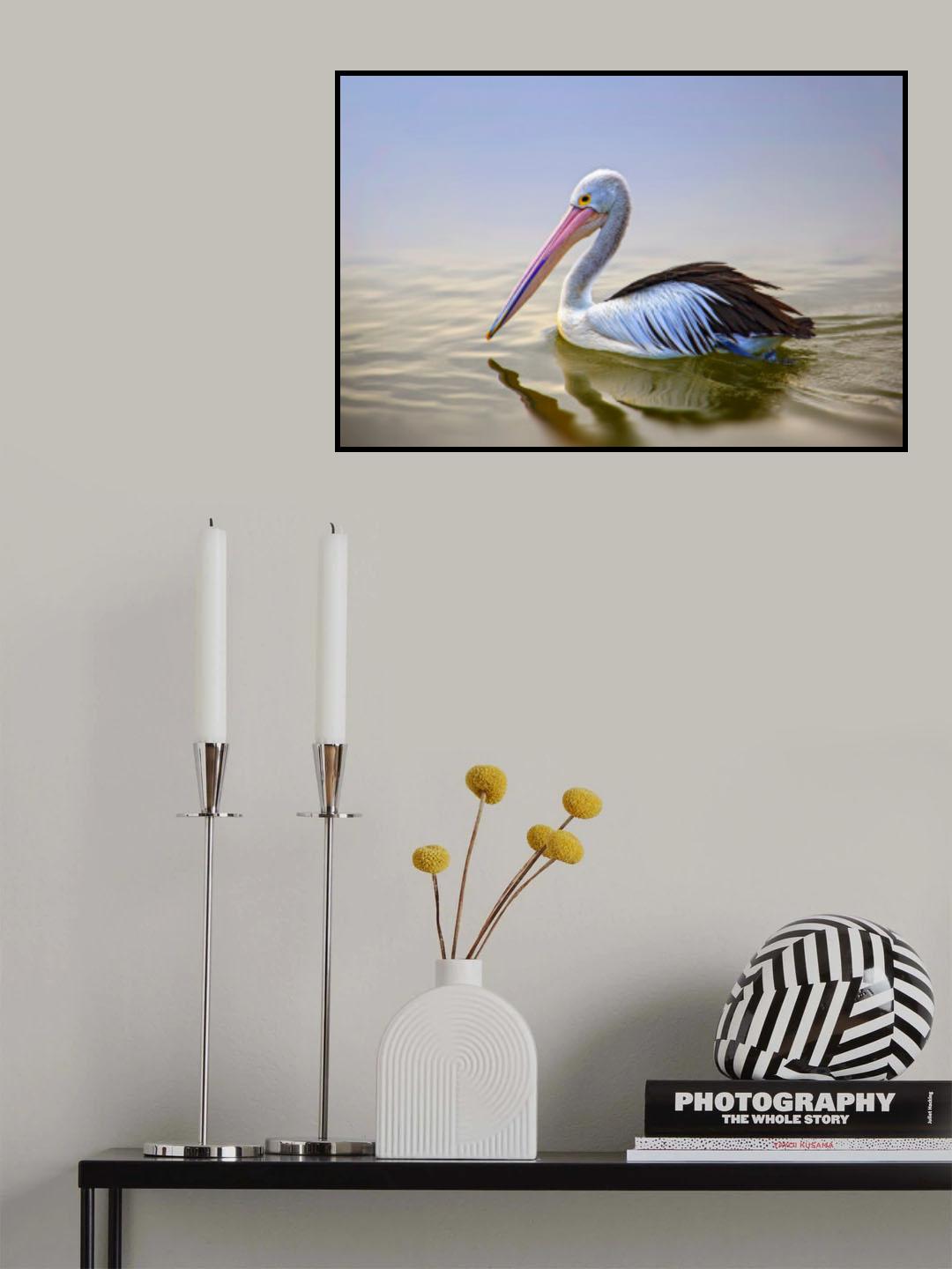 Dalmatian Pelican Poster och Canvastavla