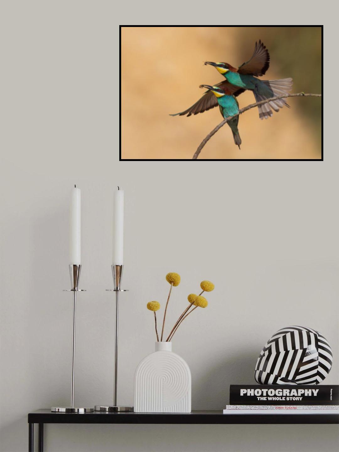 *** Poster och Canvastavla