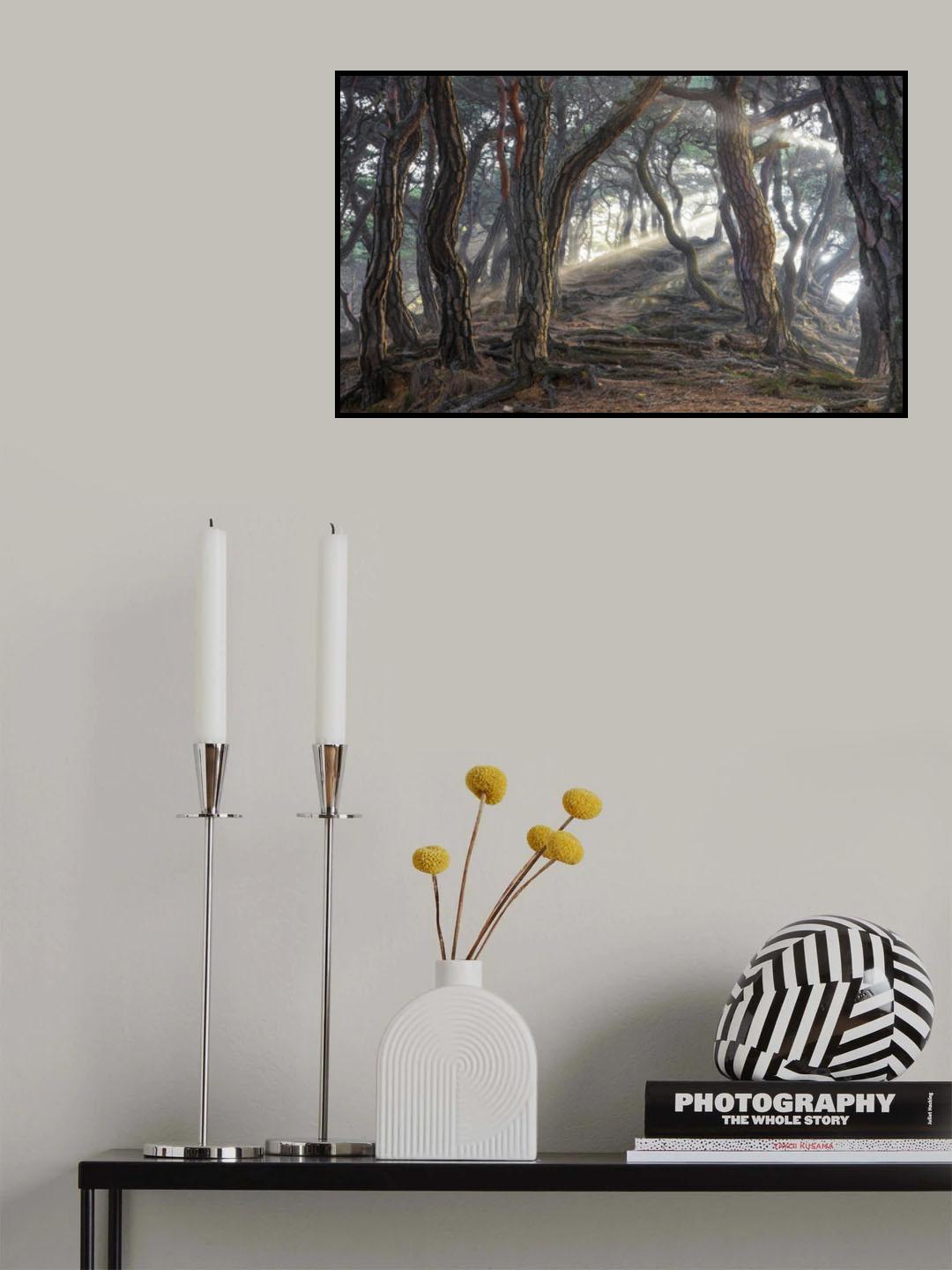 Sacred pine forest Poster och Canvastavla
