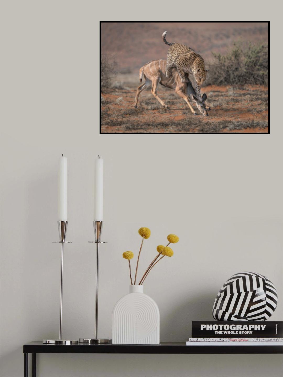 LeopardHunting Poster och Canvastavla