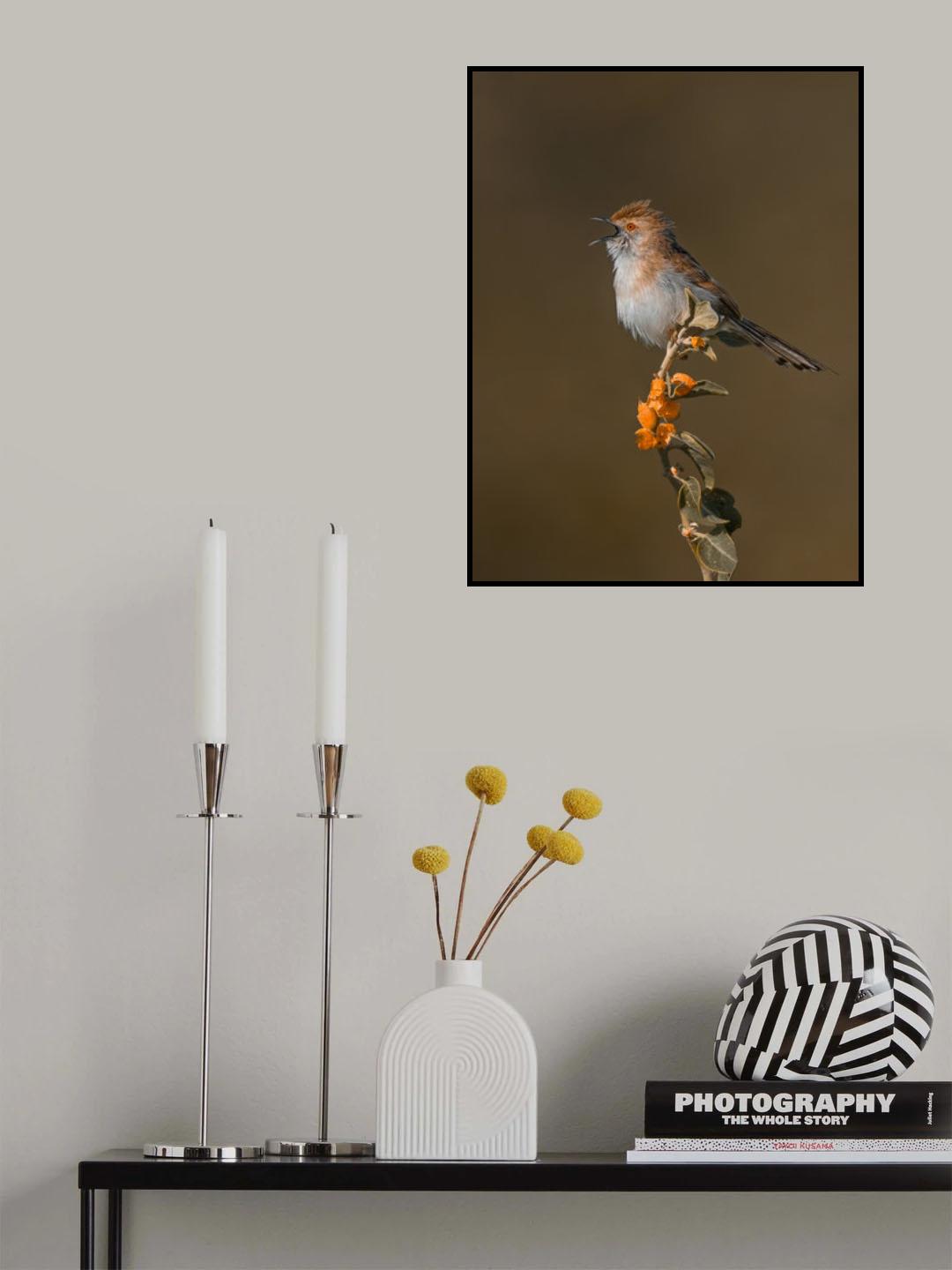 A SONG TO EARLY LIGHT Poster och Canvastavla