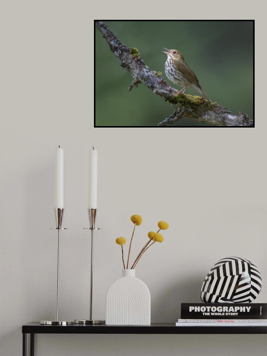 In the forest Poster och Canvastavla