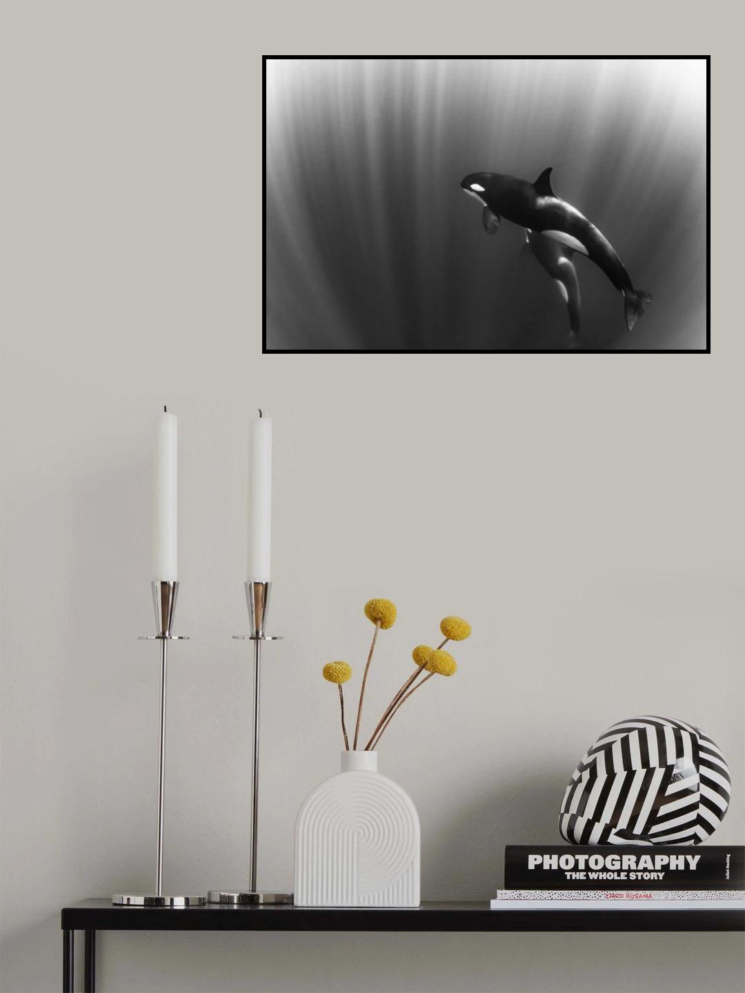 orca's dream Poster och Canvastavla