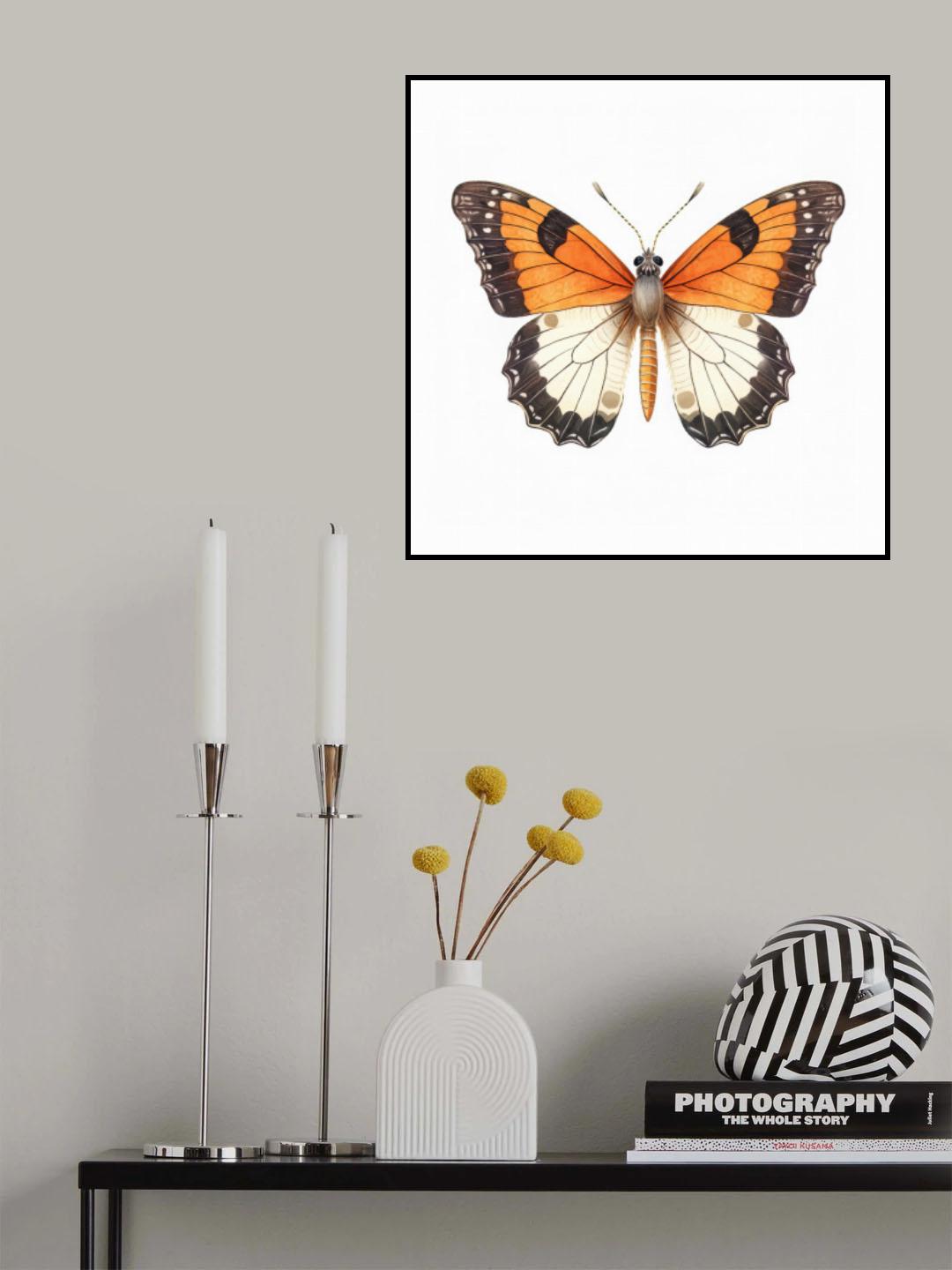Butterfly 44 Poster och Canvastavla