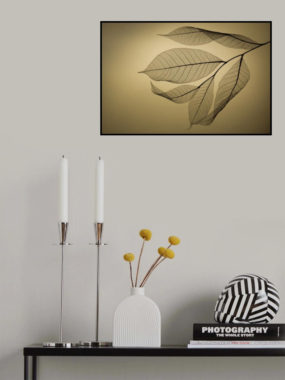 Leaf Poster och Canvastavla