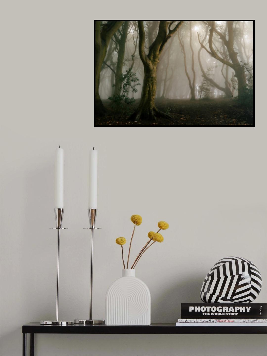 Reaching For Stars Poster och Canvastavla