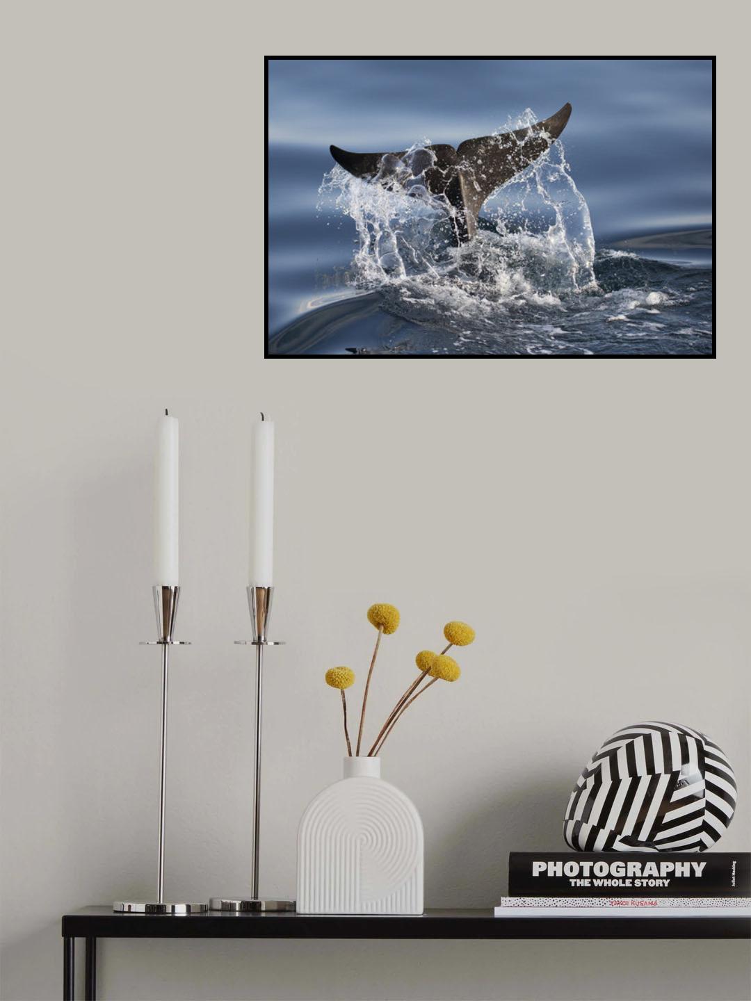 Splash Poster och Canvastavla