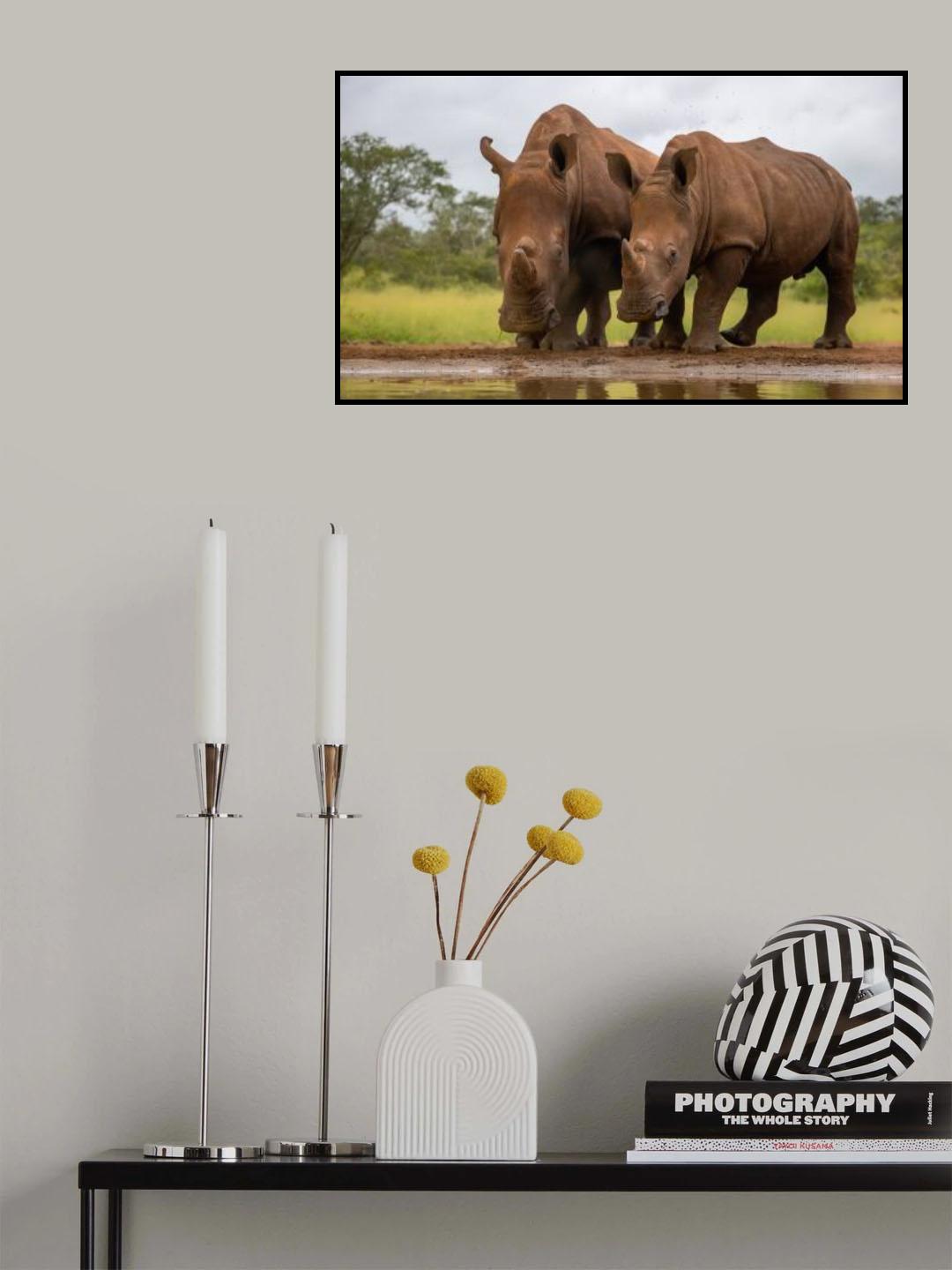 Best Friends Poster och Canvastavla