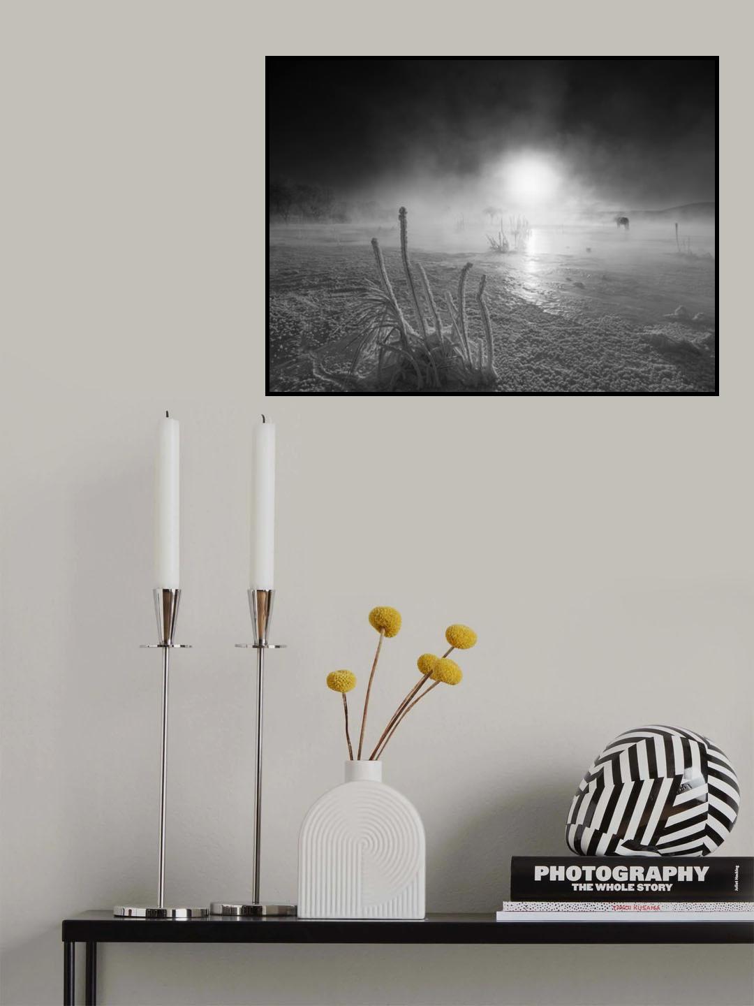 The horse Poster och Canvastavla