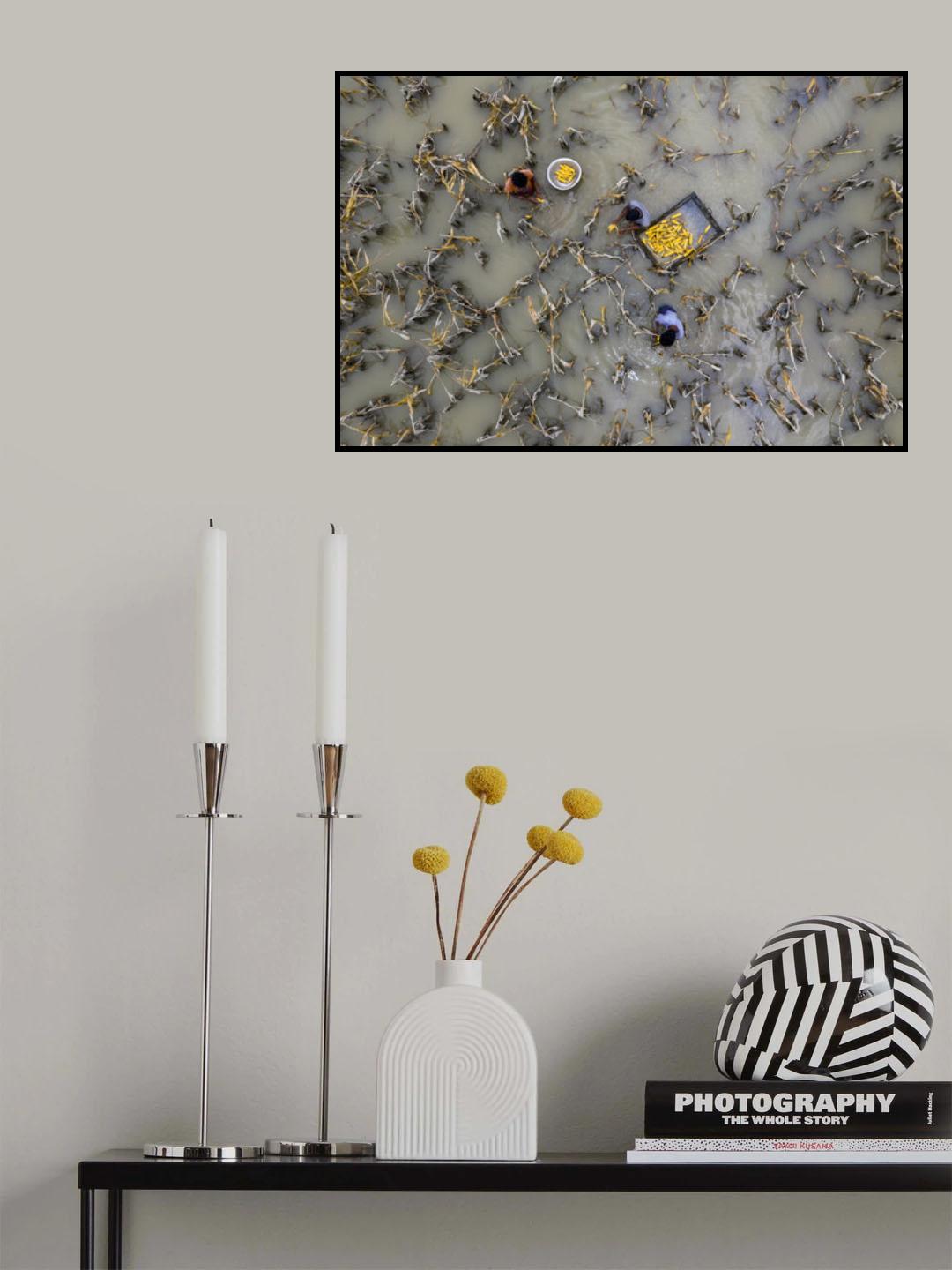 Flood water has damaged crops Poster och Canvastavla