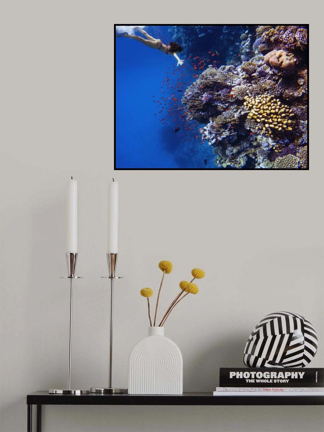 Deep sea coral dive Poster och Canvastavla