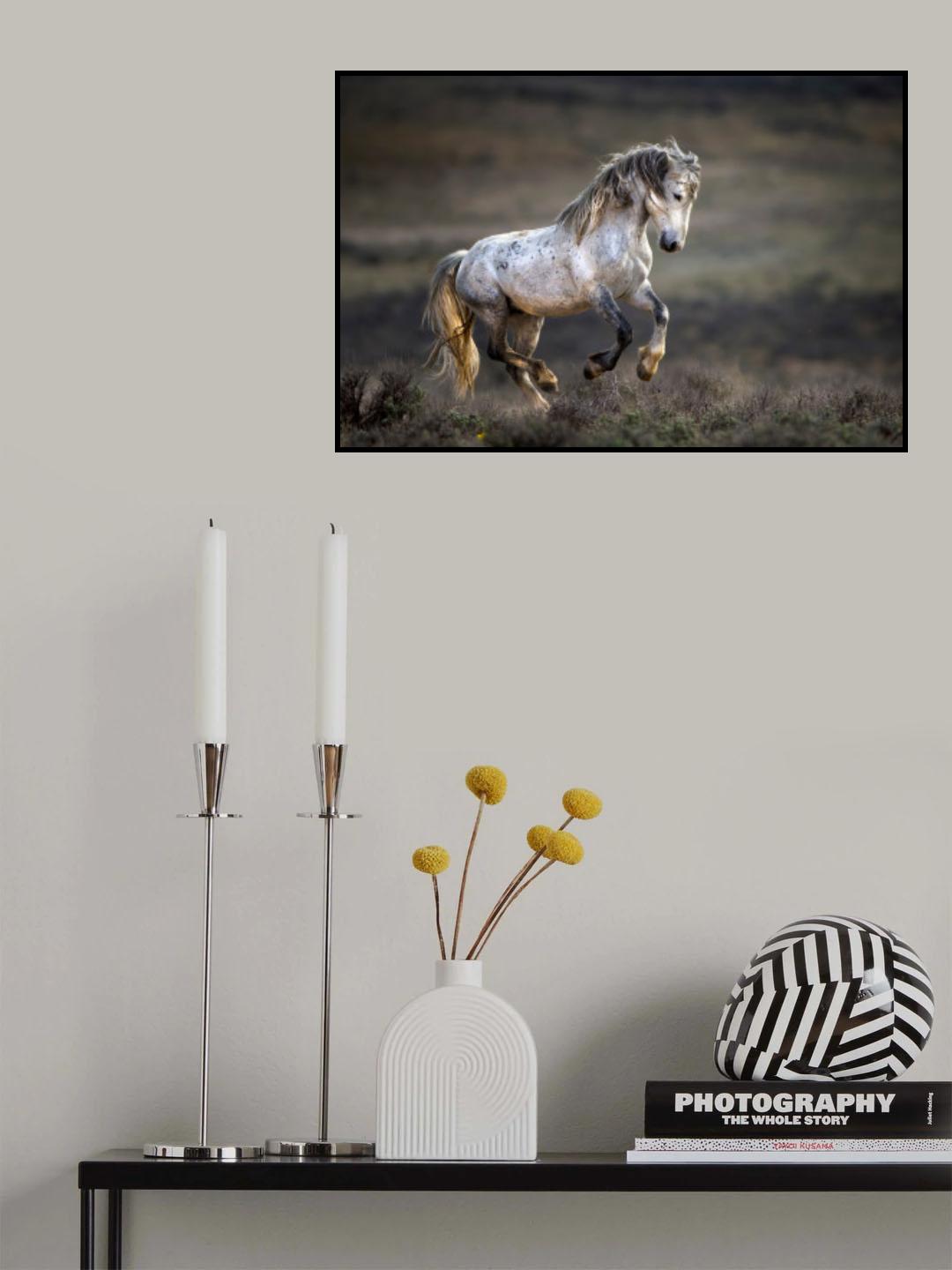 Mustang, Wild Horse / Equus ferus caballus Poster och Canvastavla