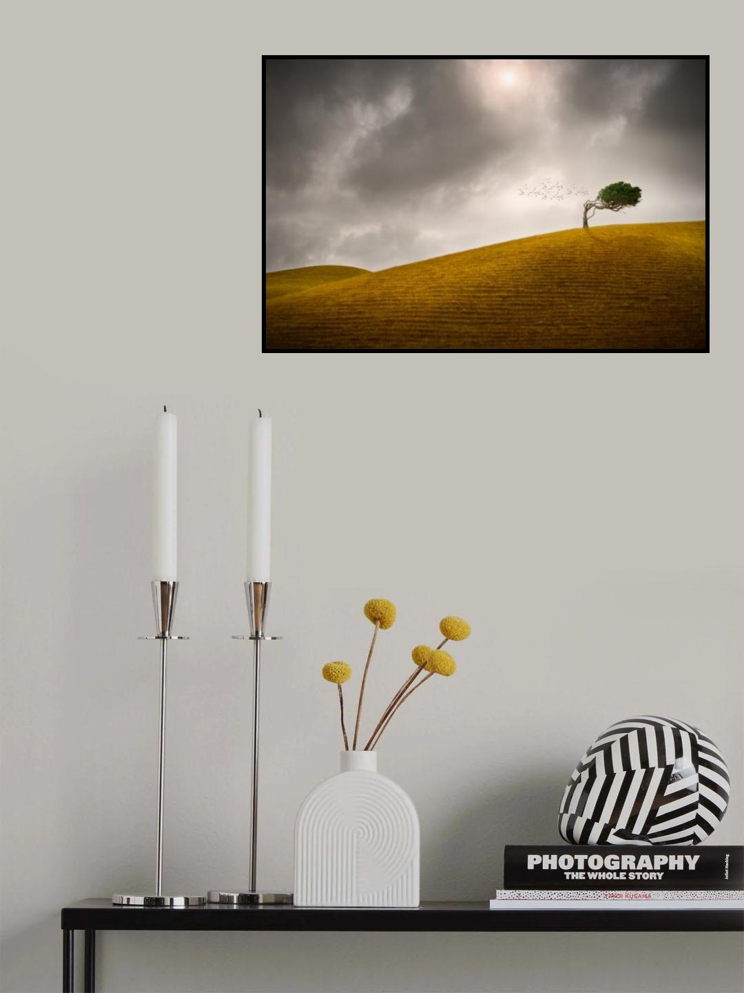 One tree hill Poster och Canvastavla