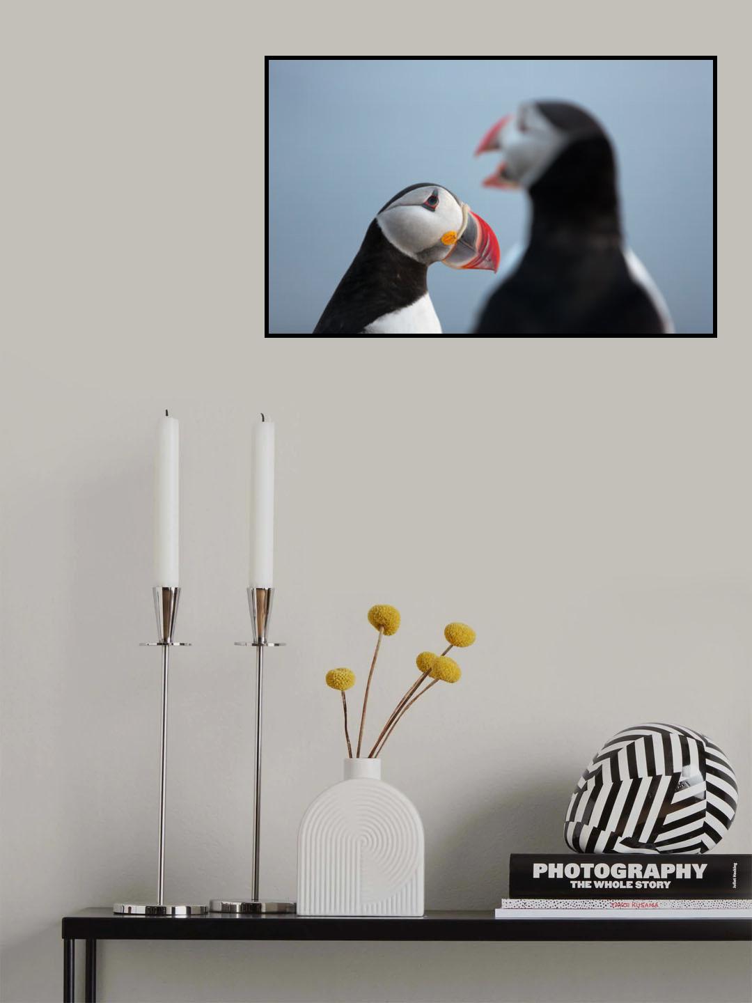 Puffin Talk Poster och Canvastavla