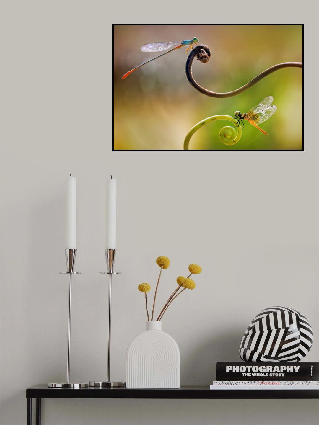 Damselfly - Little Dragonfly Poster och Canvastavla