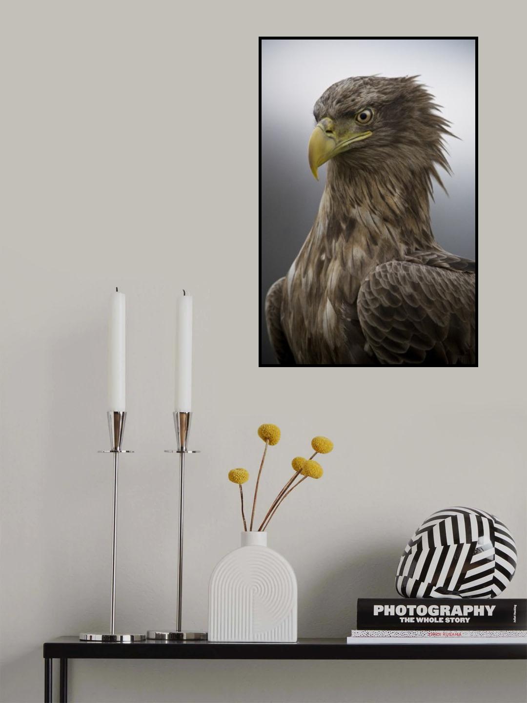 The Elderly Poster och Canvastavla