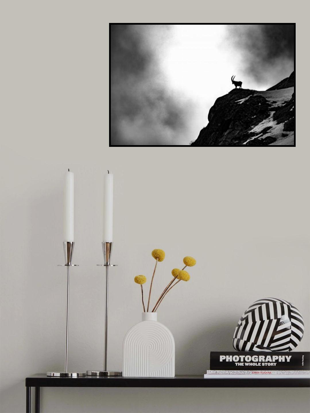 Where ibex dare Poster och Canvastavla