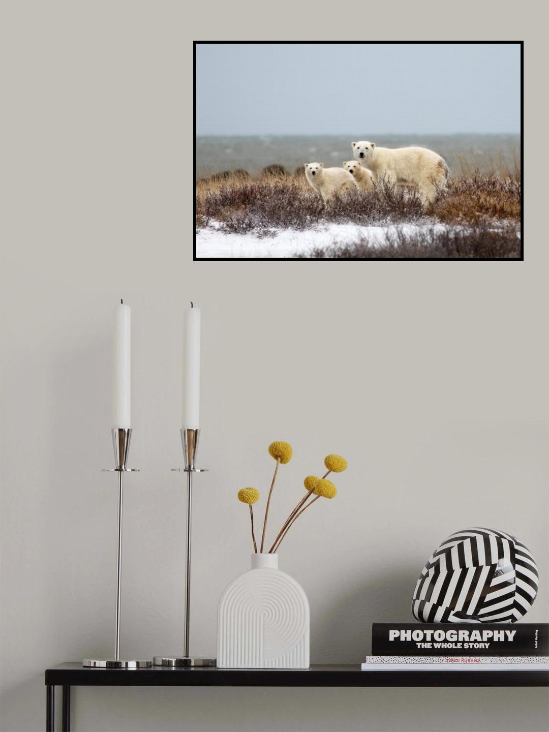 Poster och Canvastavla