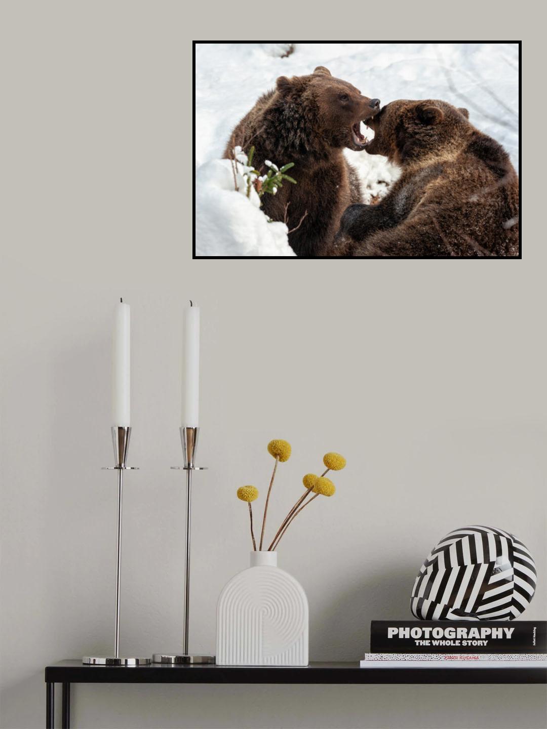 Fight or joke? Poster och Canvastavla