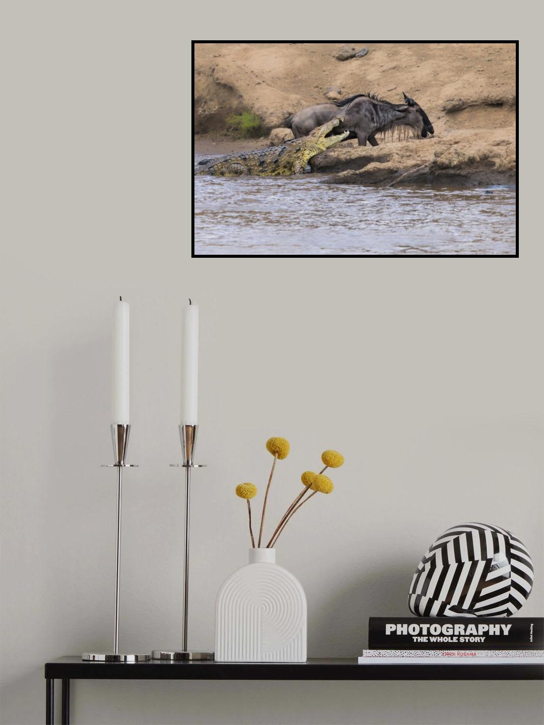 You Can't Get Me Poster och Canvastavla
