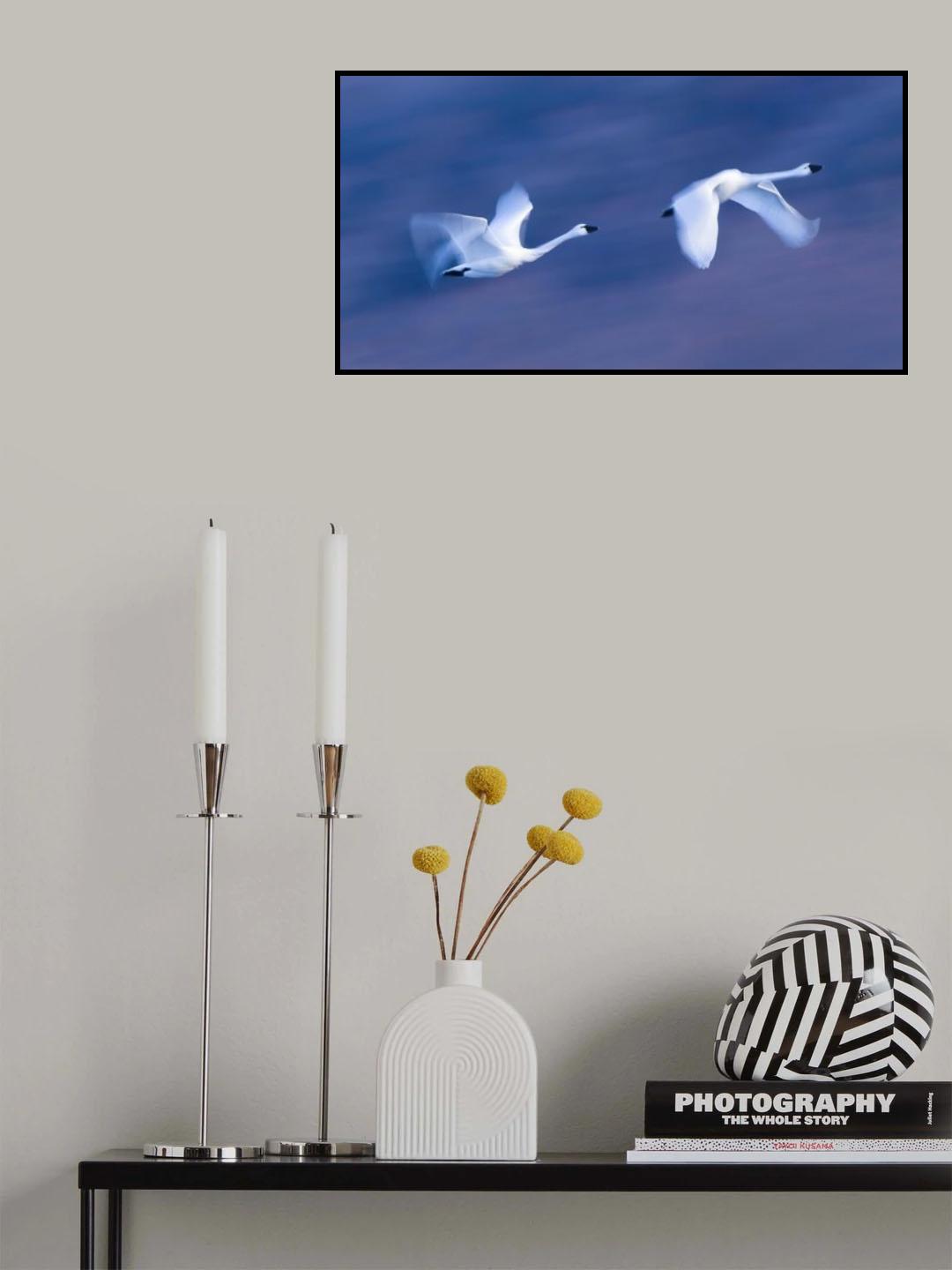 Soaring in the Sky Poster och Canvastavla