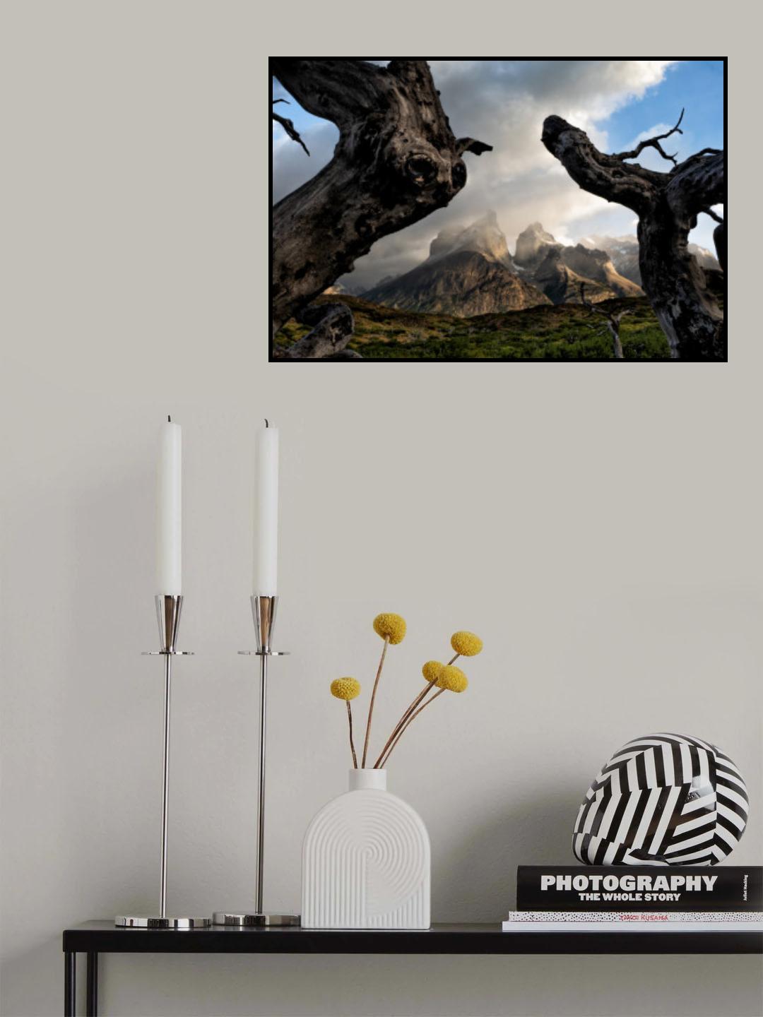 Framing Patagonia Poster och Canvastavla