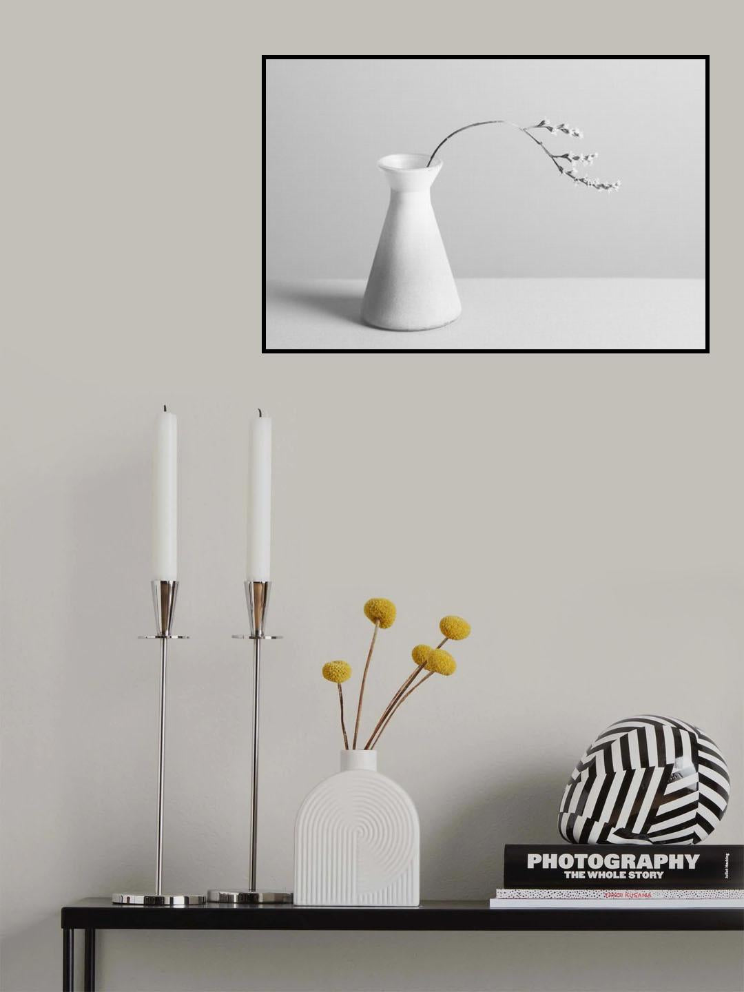 "S" Poster och Canvastavla