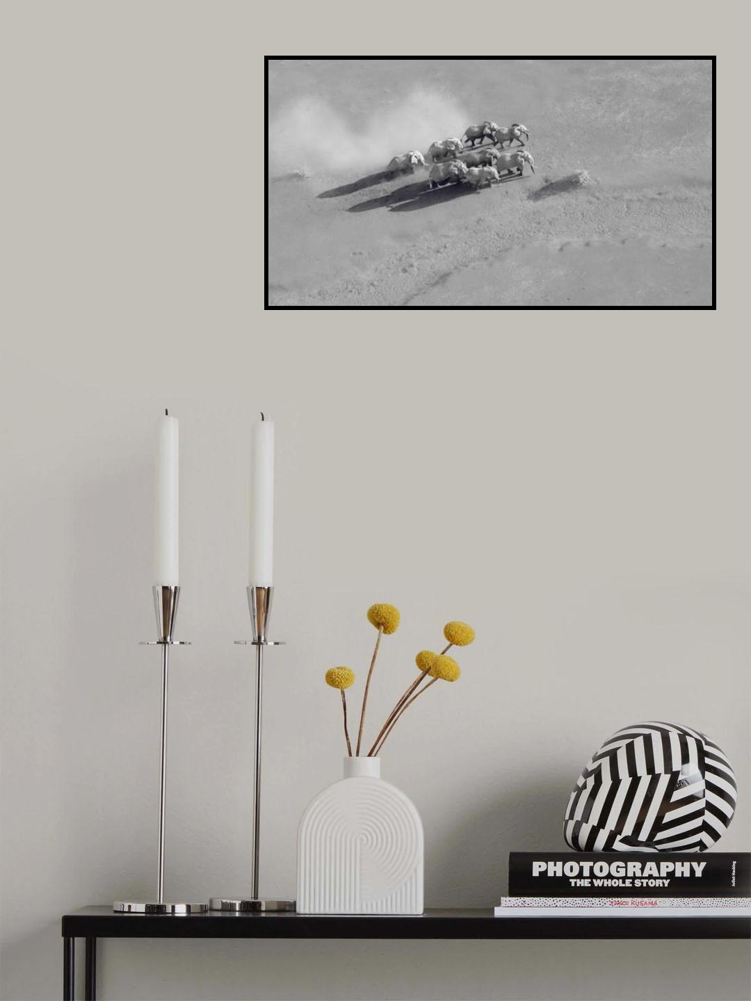 Marching Elephants Poster och Canvastavla