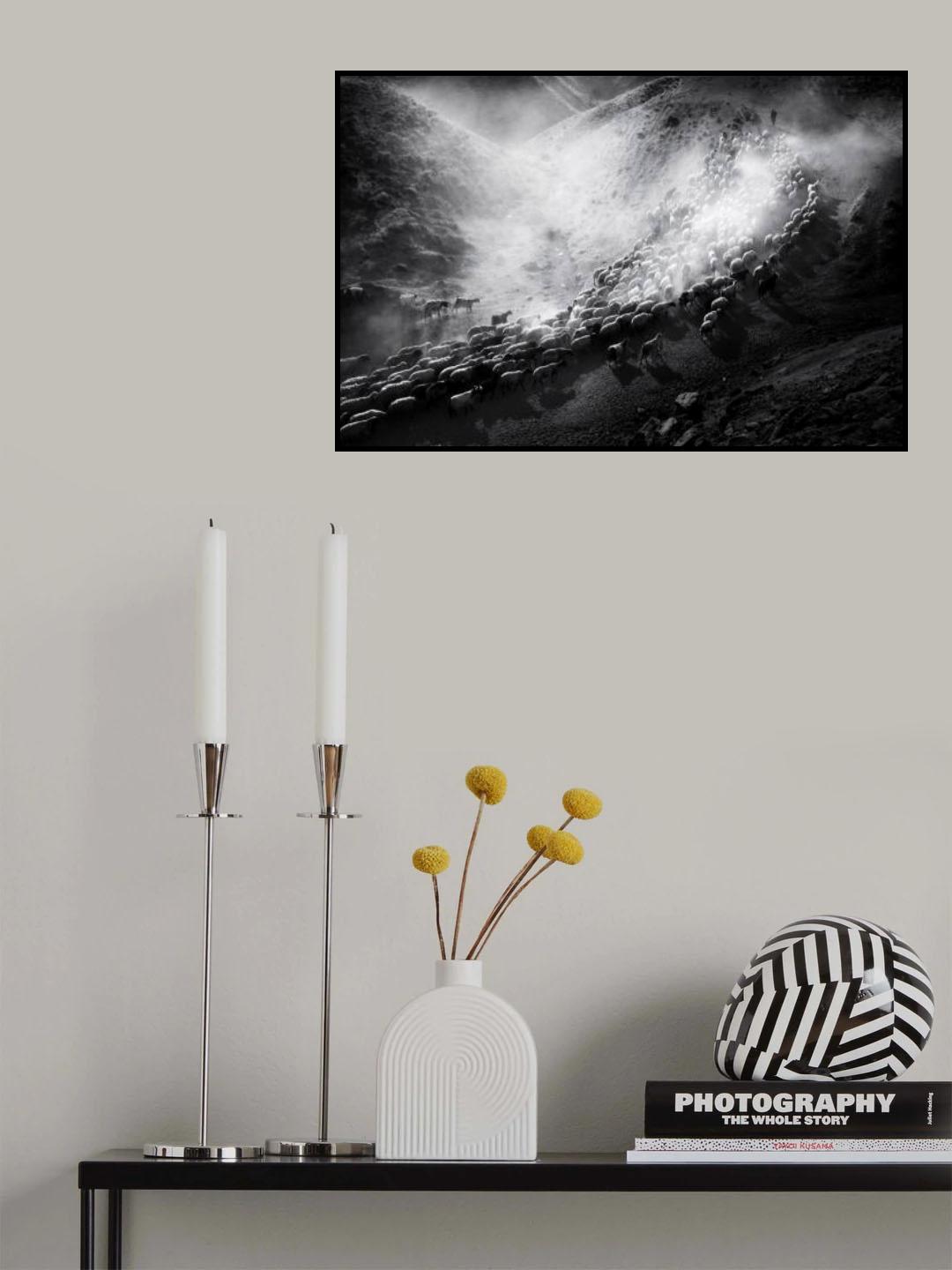 herd Poster och Canvastavla