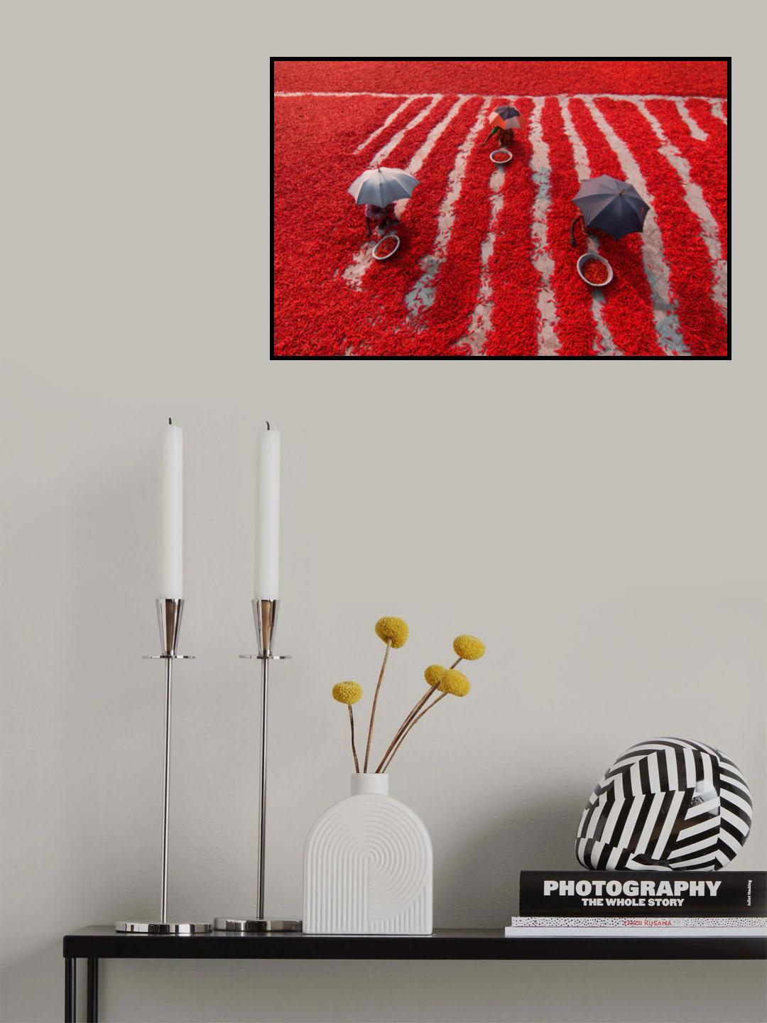Red chilies Poster och Canvastavla