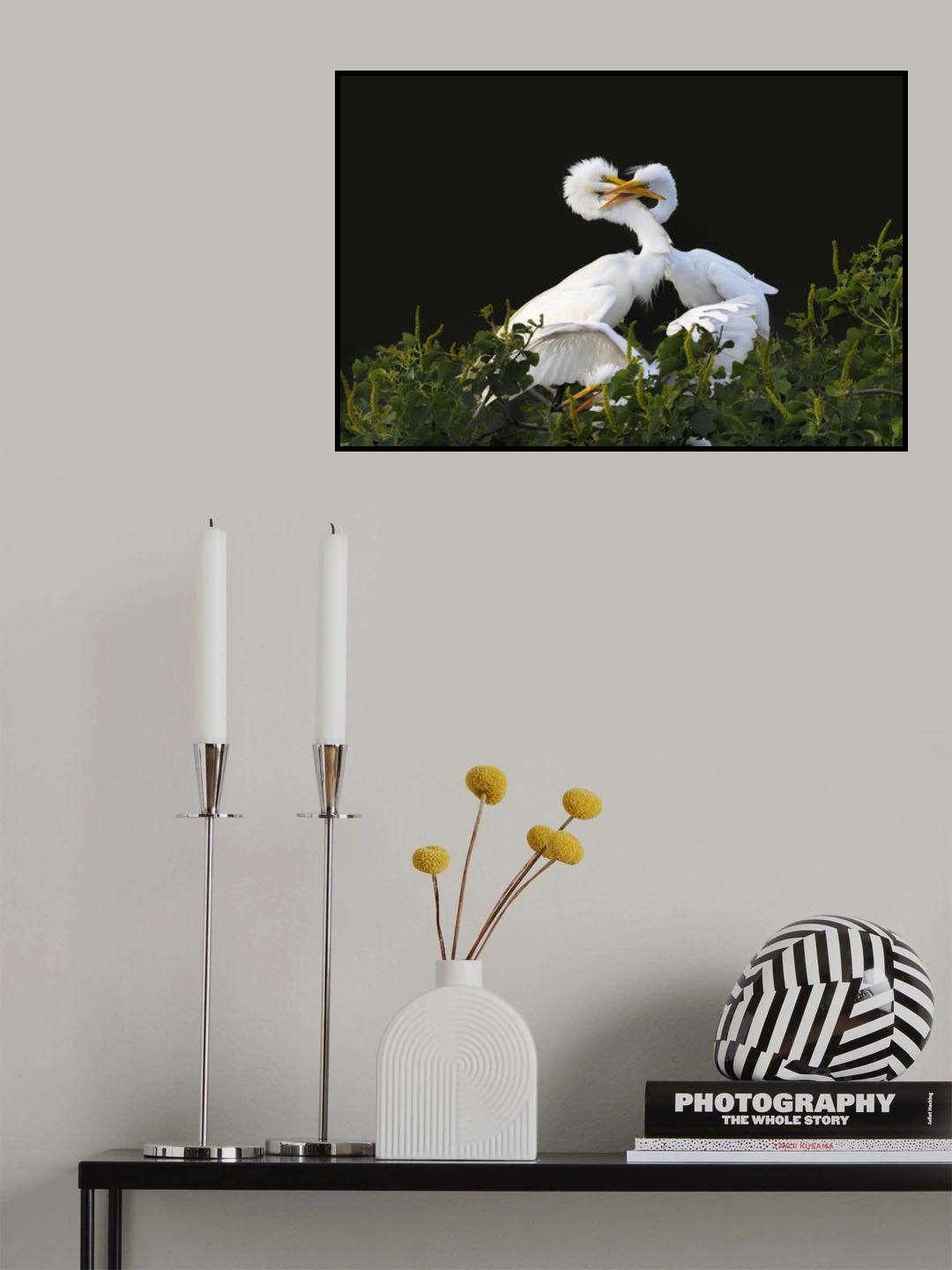 Fight For ... Poster och Canvastavla