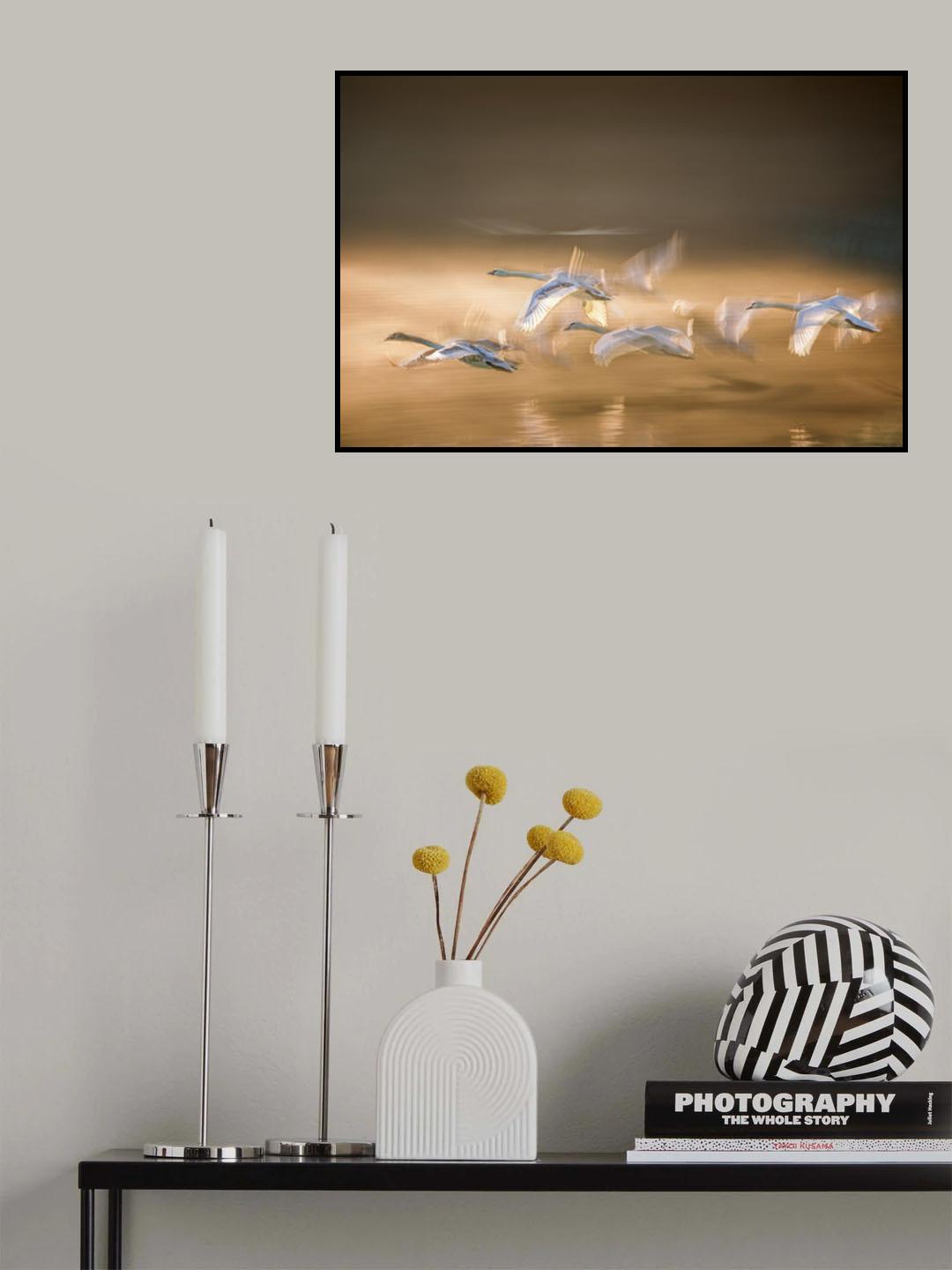 Overflight Poster och Canvastavla